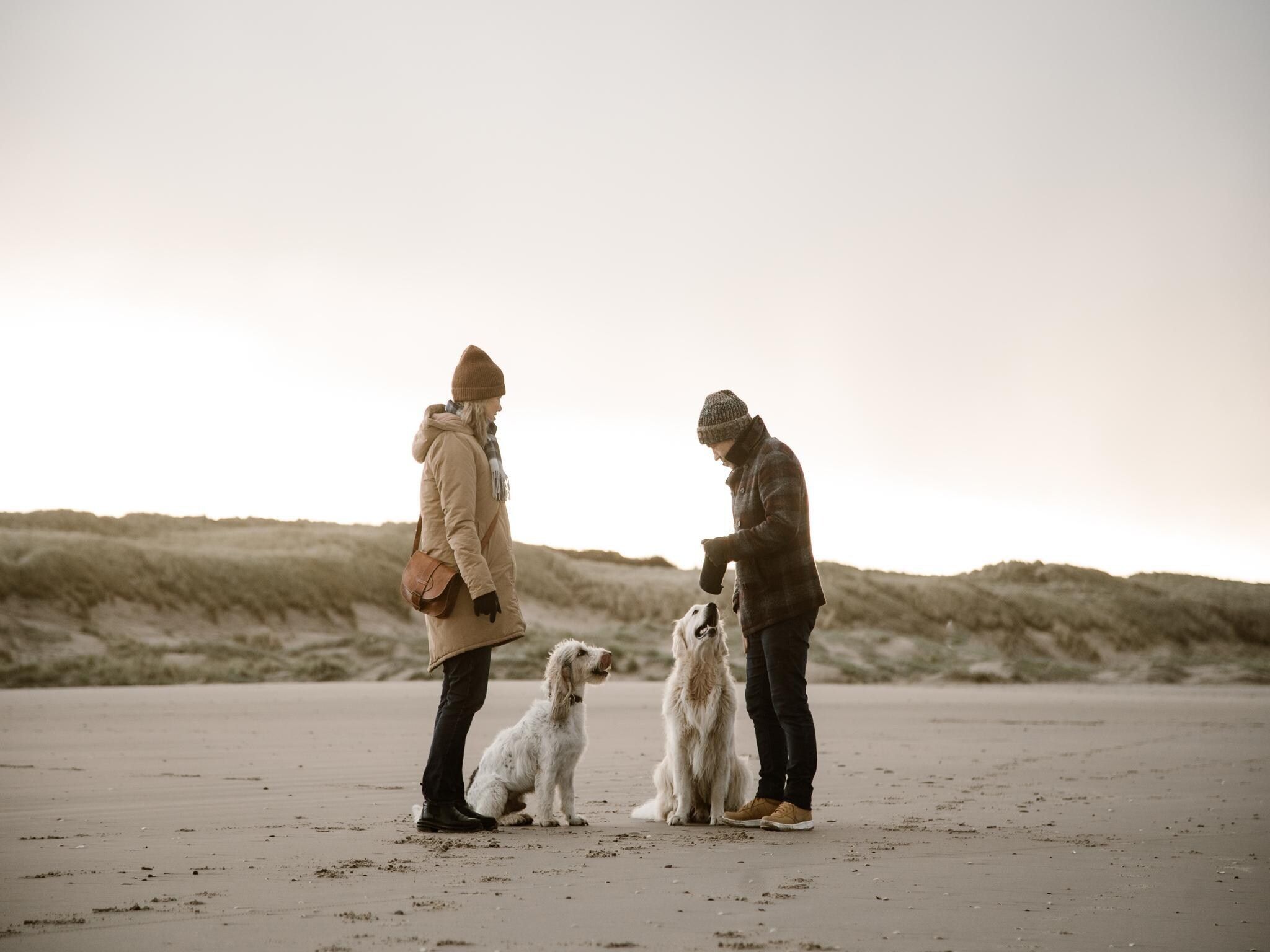 De omgeving van Vakantiehuisje Vloed in Callantsoog