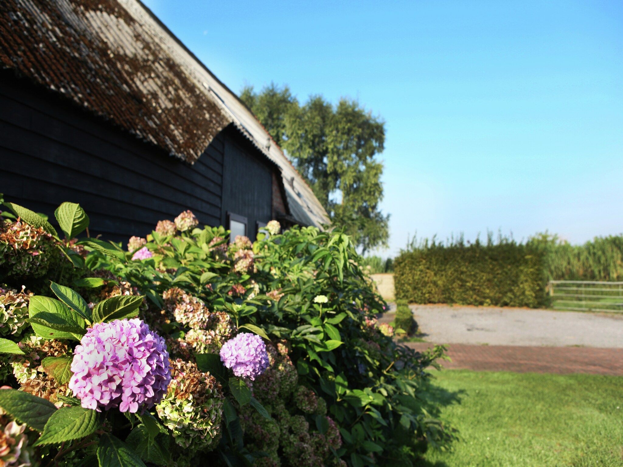 Sfeerbeeld van Appartement De Dorsvloer in Eede