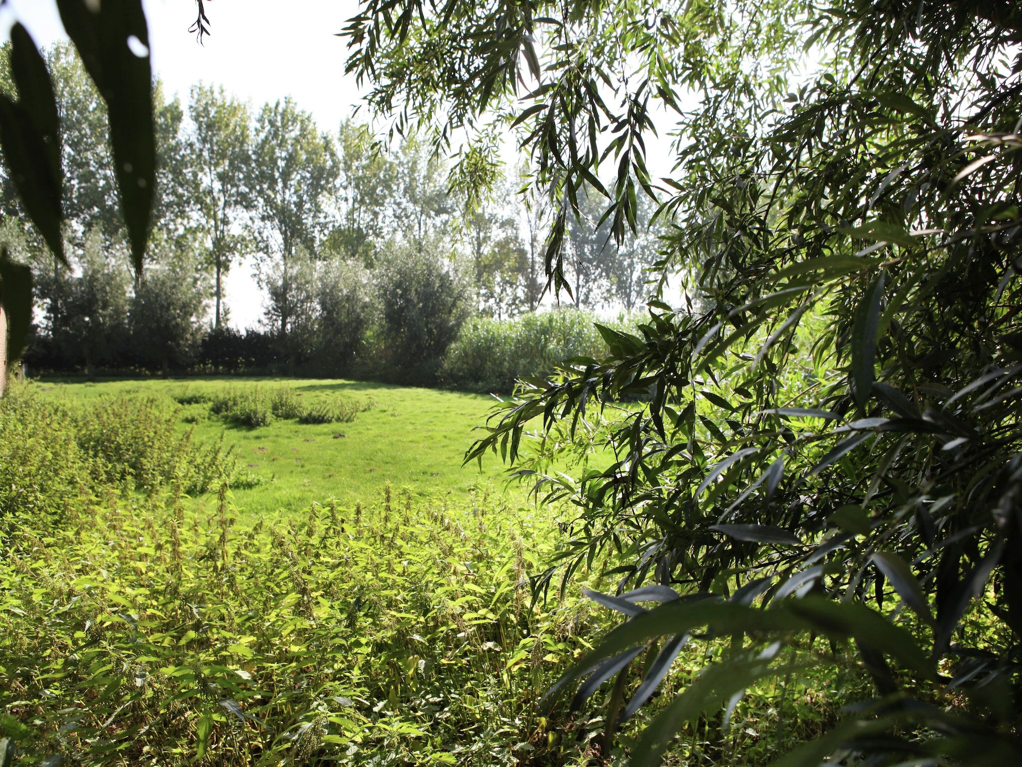 Het uitzicht vanaf Appartement De Dorsvloer in Eede
