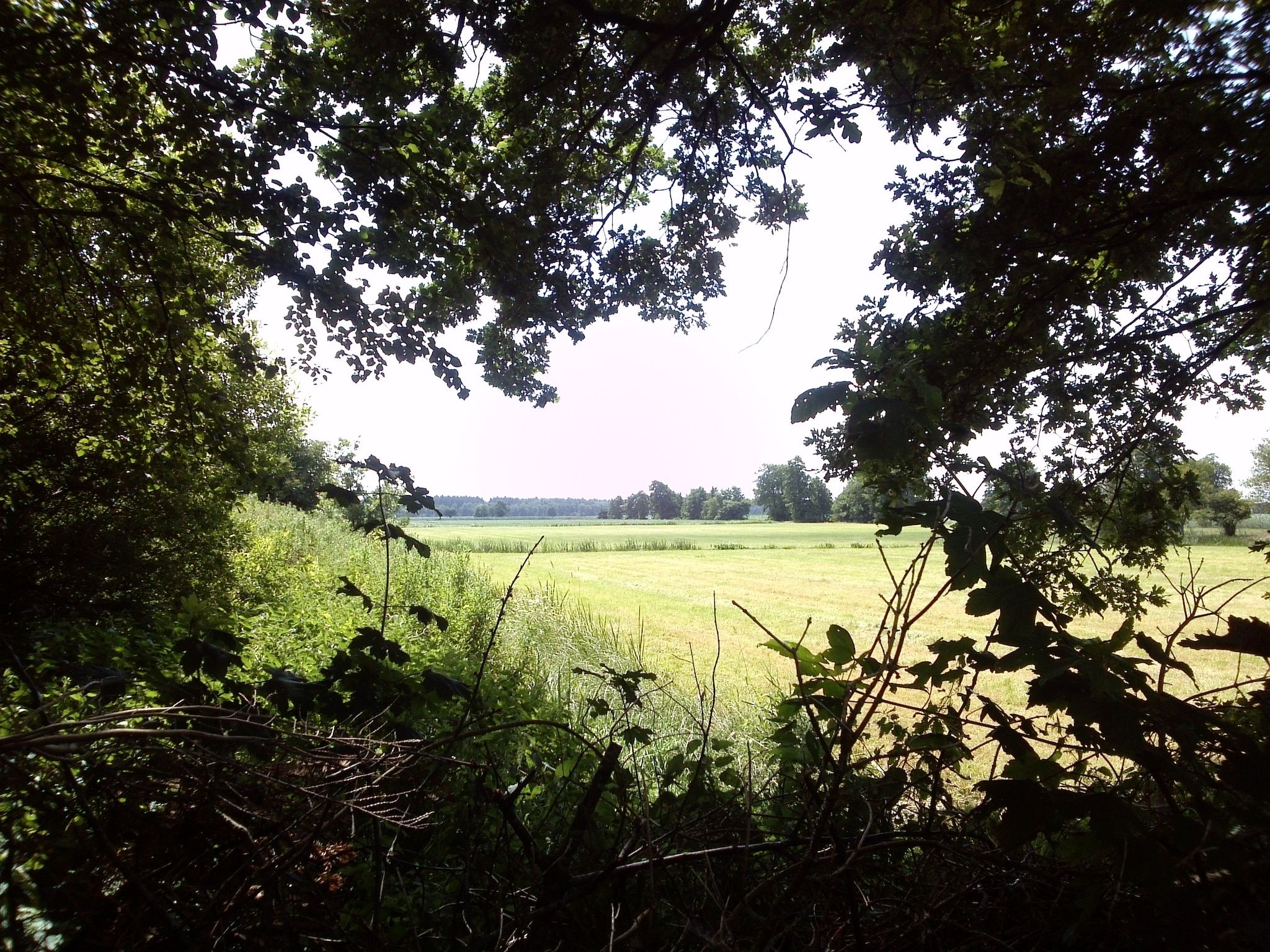 Het uitzicht vanaf Haulervaart in Waskemeer