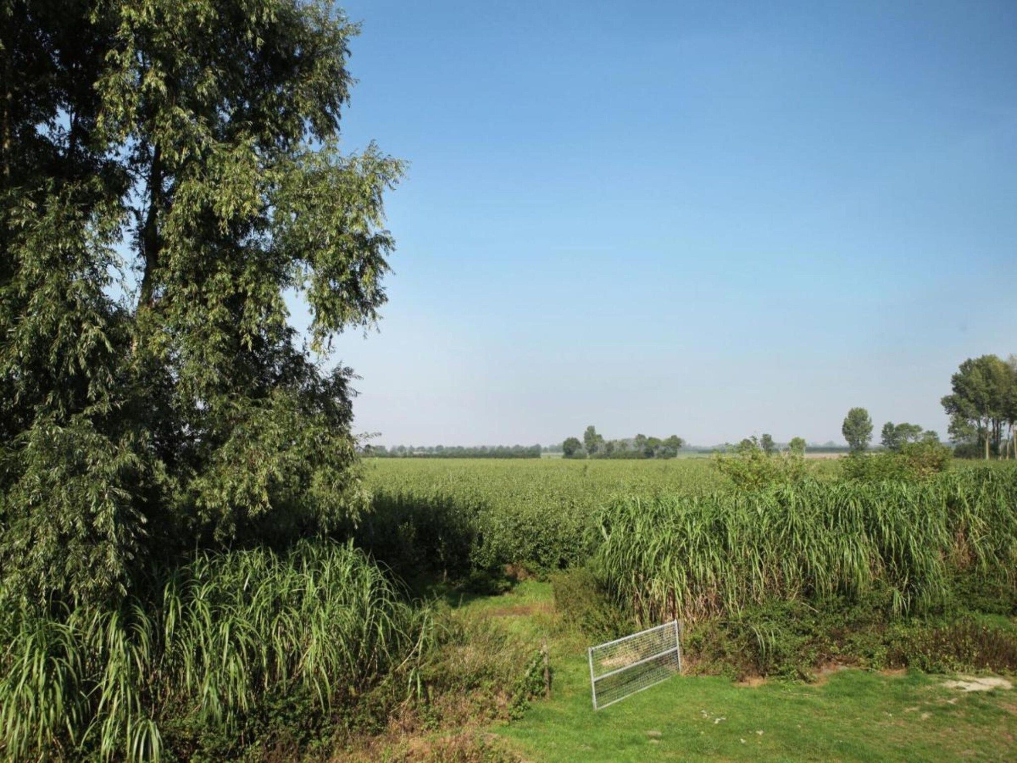 De Biezenpolder 't Groothuus in Eede - Foto 21 van 40