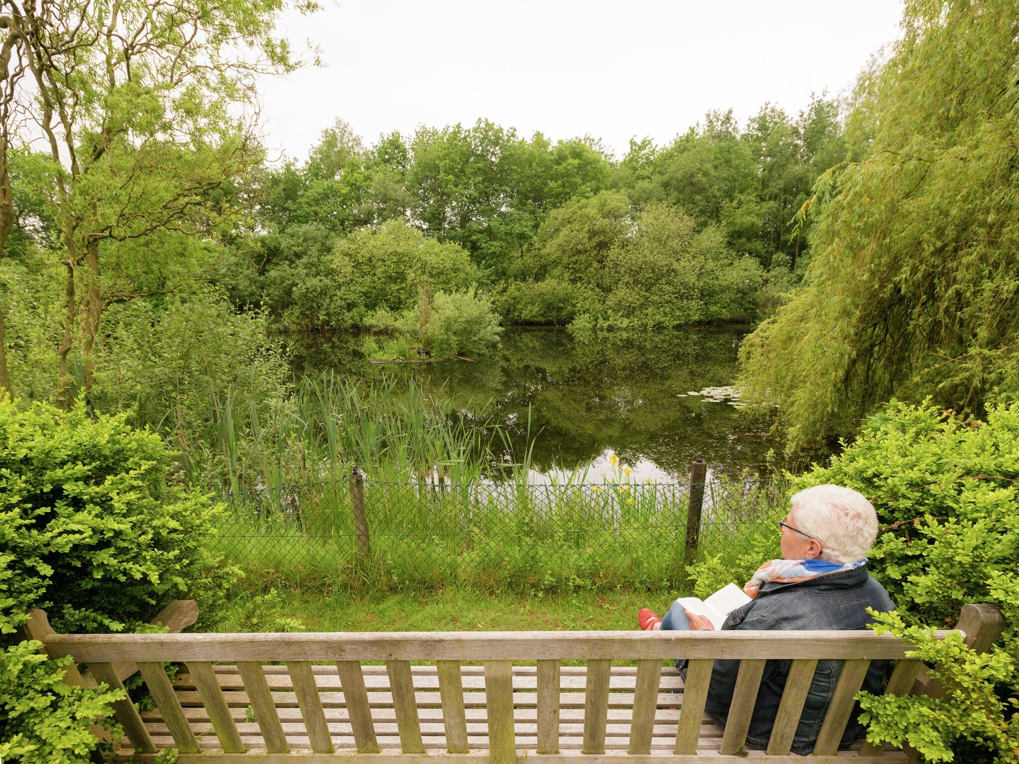 De tuin van De Eekhorst in Balkbrug