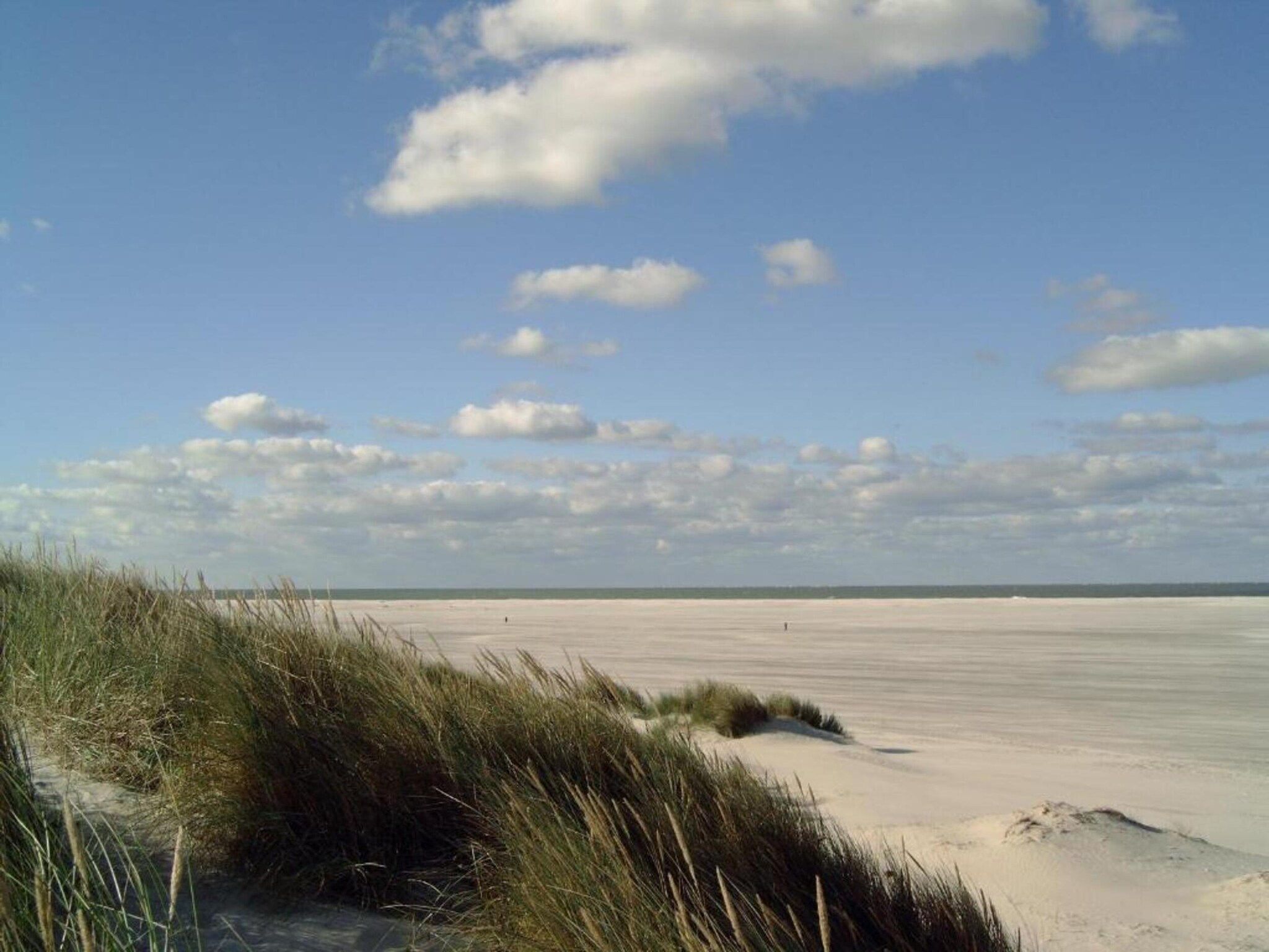 Skries in Nes Ameland - Foto 32 van 40