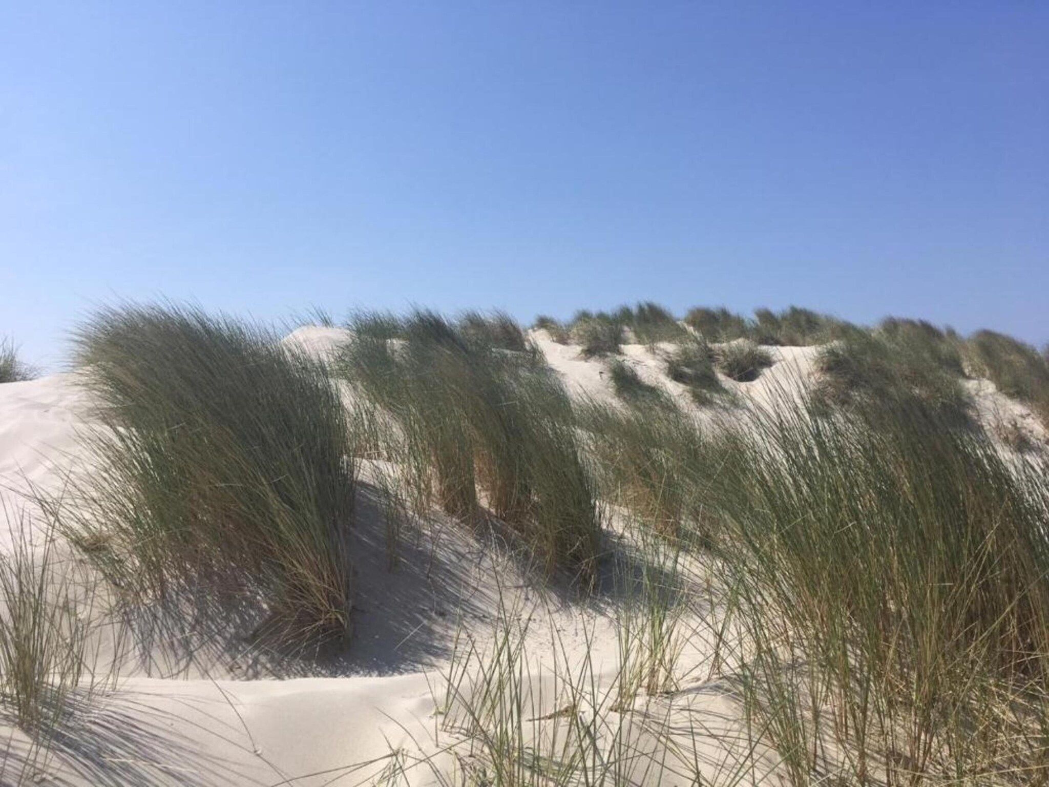 Skries in Nes Ameland - Foto 30 van 40