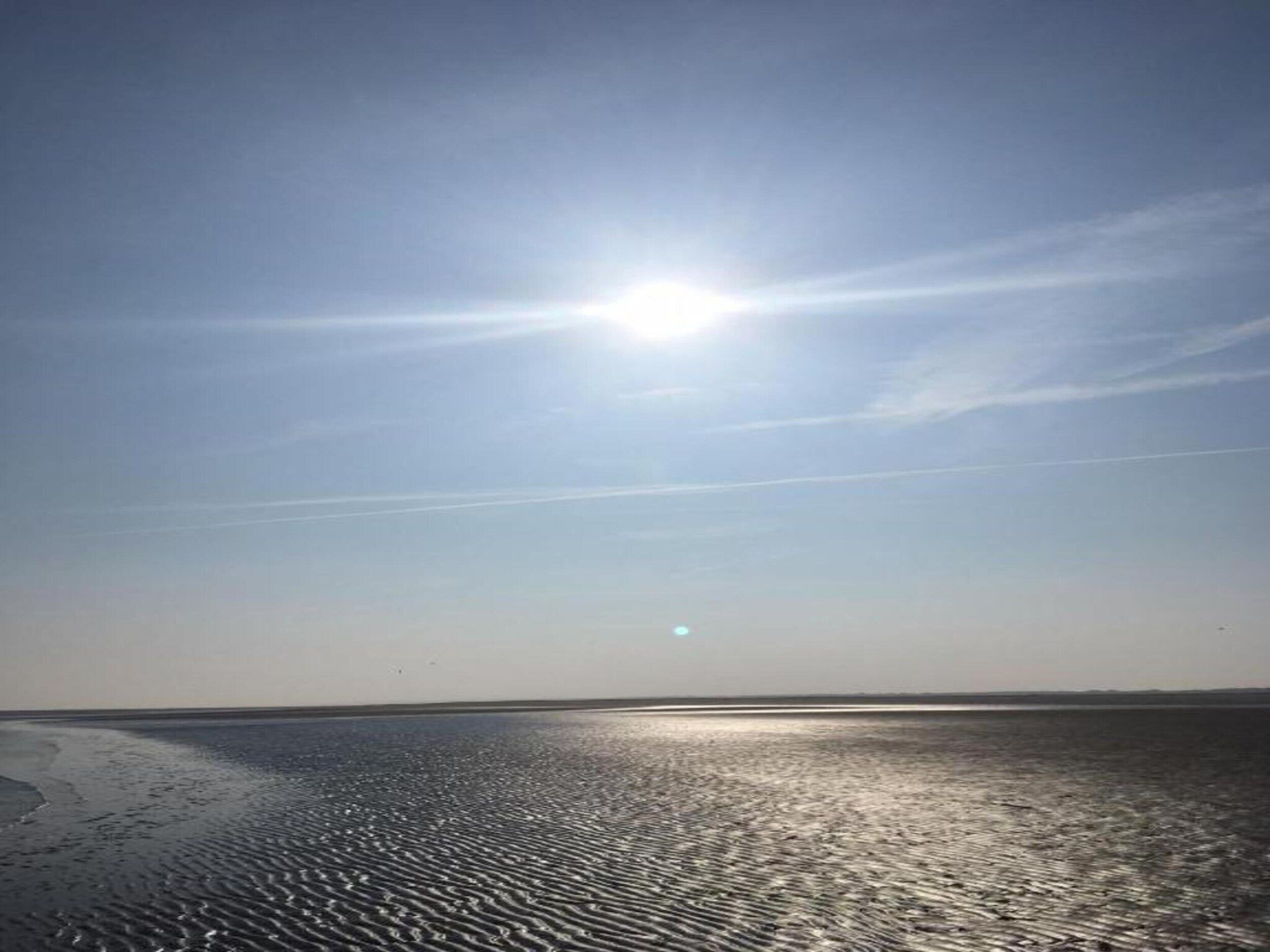 Skries in Nes Ameland - Foto 33 van 40