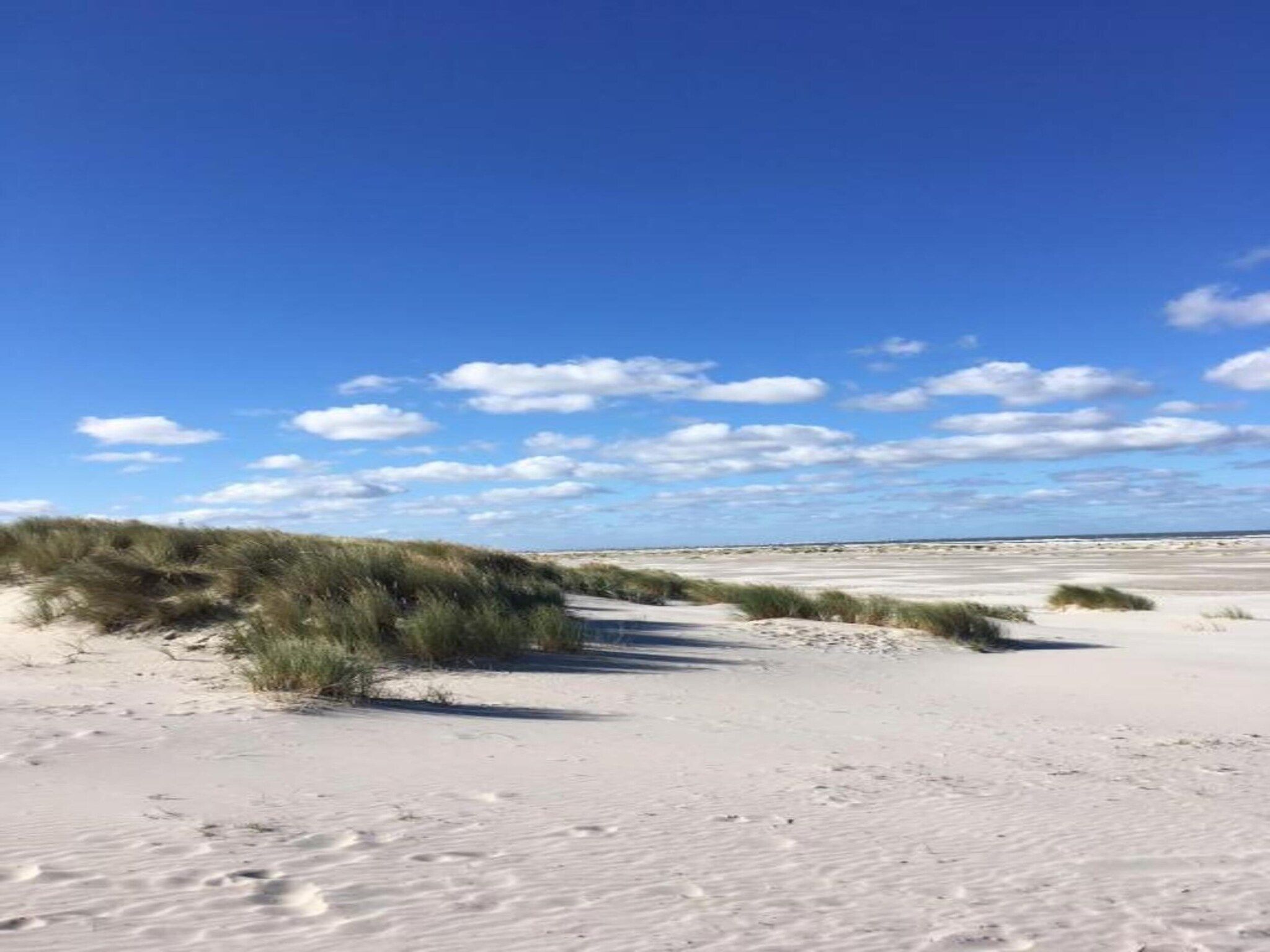 Skries in Nes Ameland - Foto 25 van 40