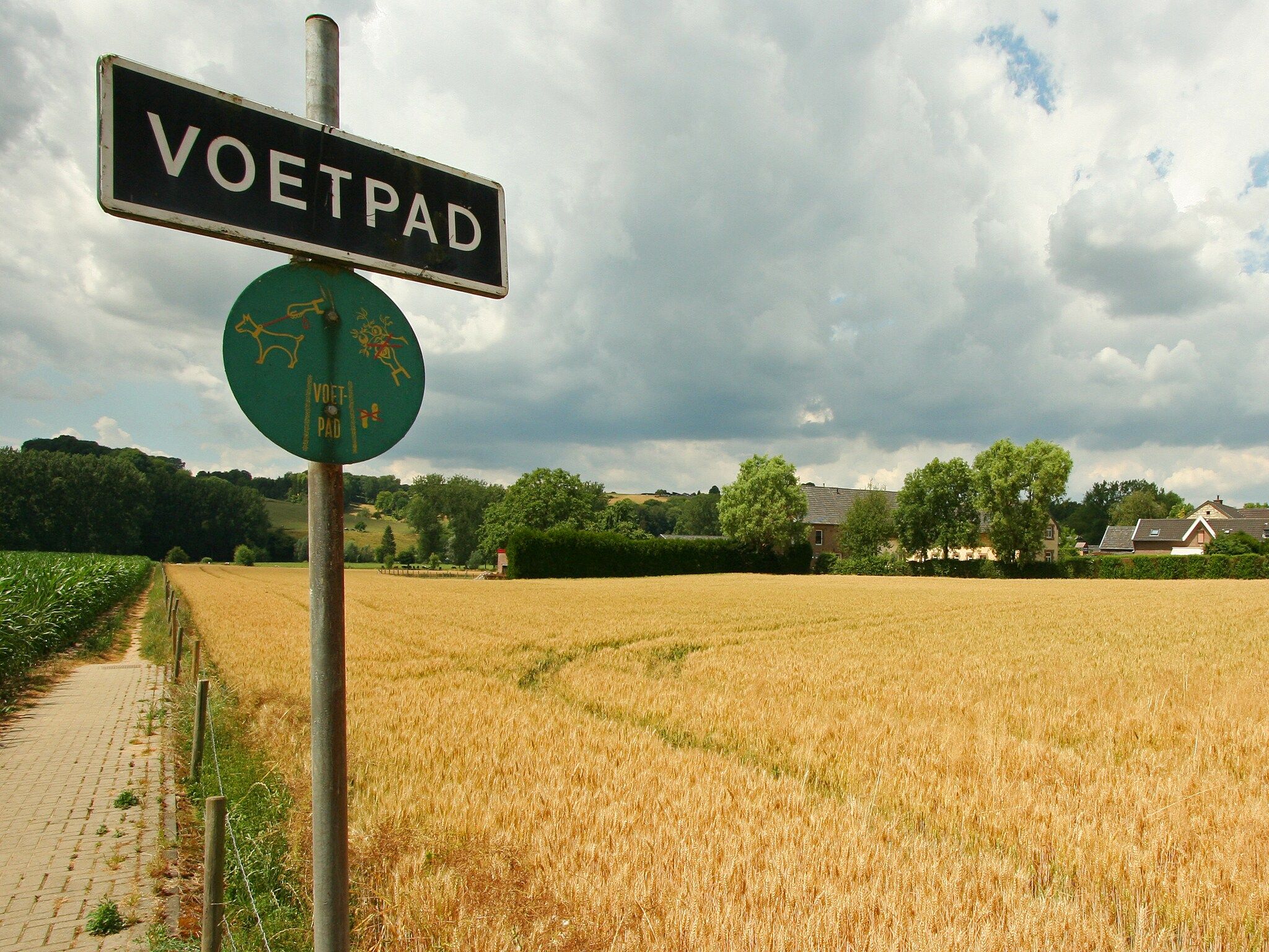 Hoeve in gunne winkel 1 en 2 in Wijlre - Foto 27 van 34