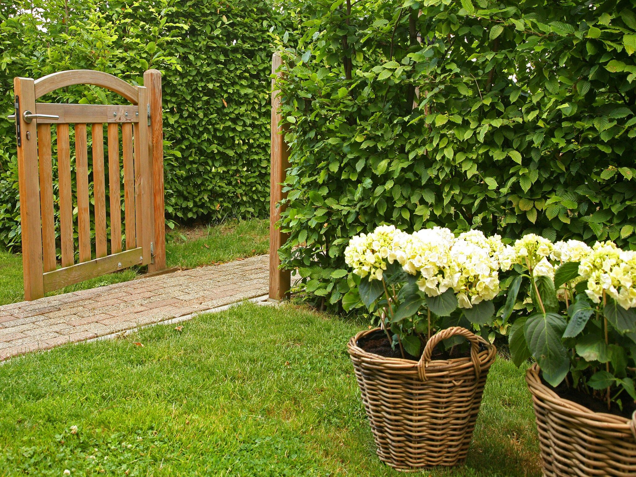 De tuin van Hoeve in gunne winkel 2 in Wijlre