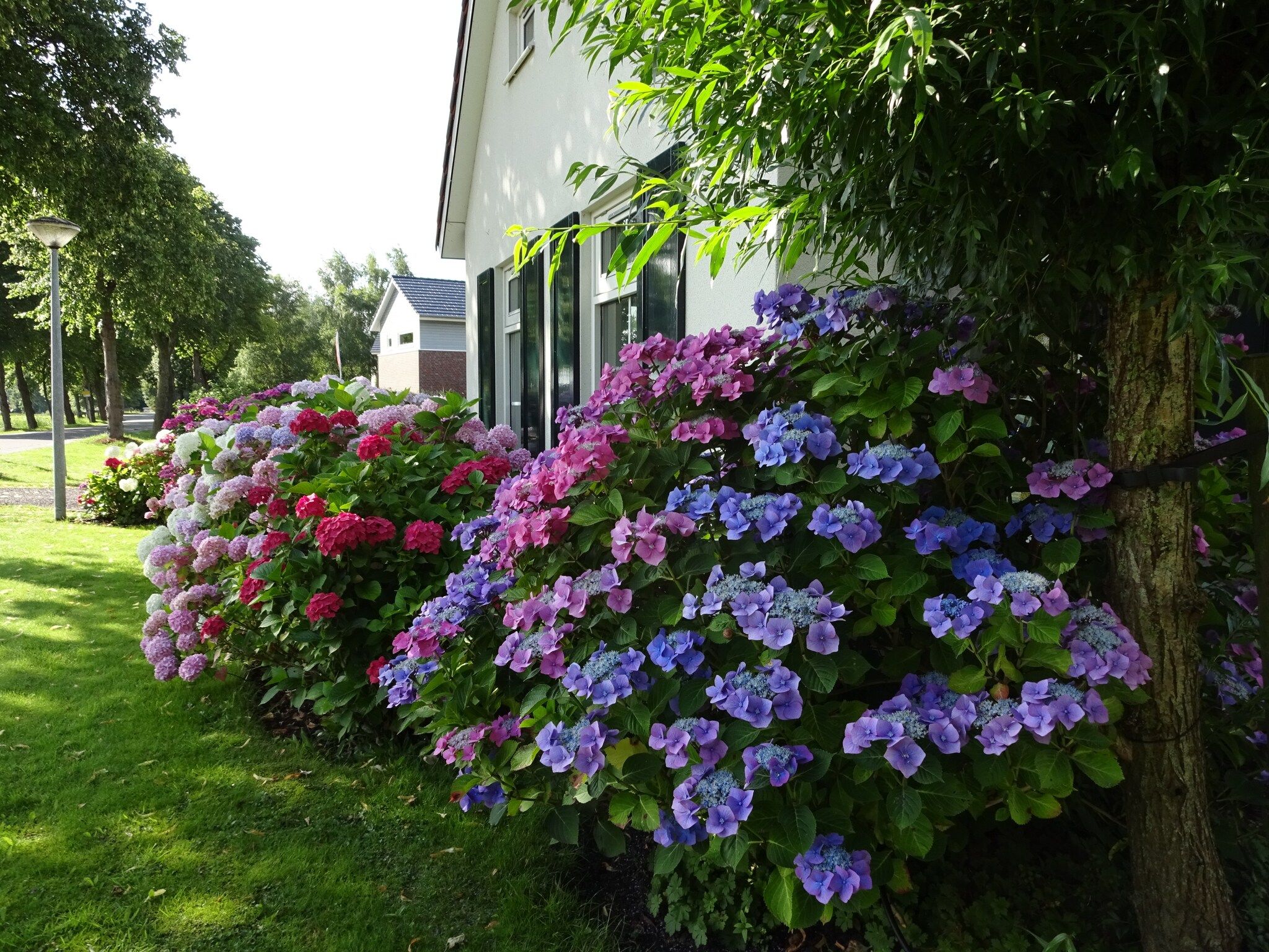 Sfeerbeeld van Villa ten Hoeve in Steendam