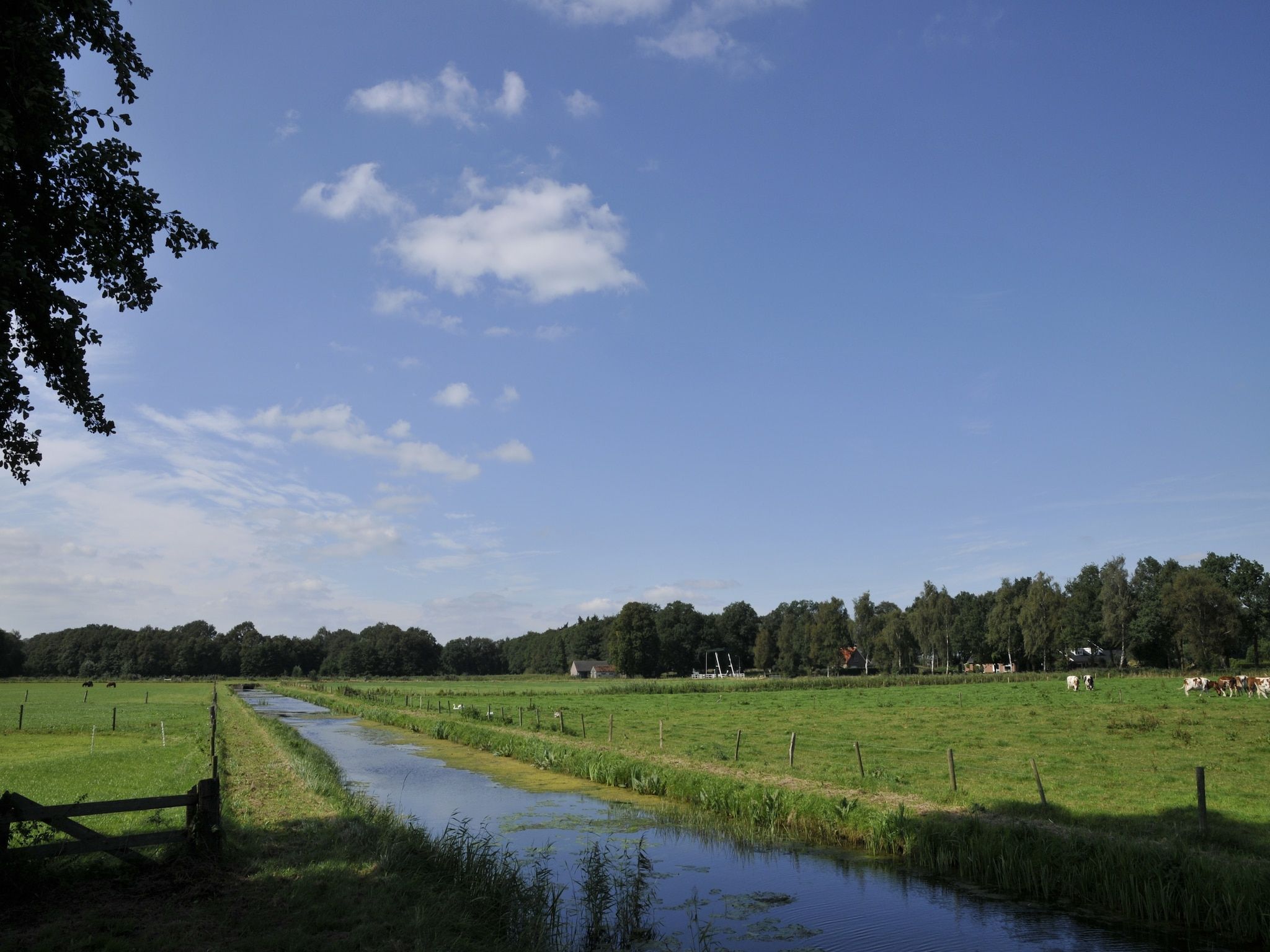 De omgeving van Wildeman in Heeten