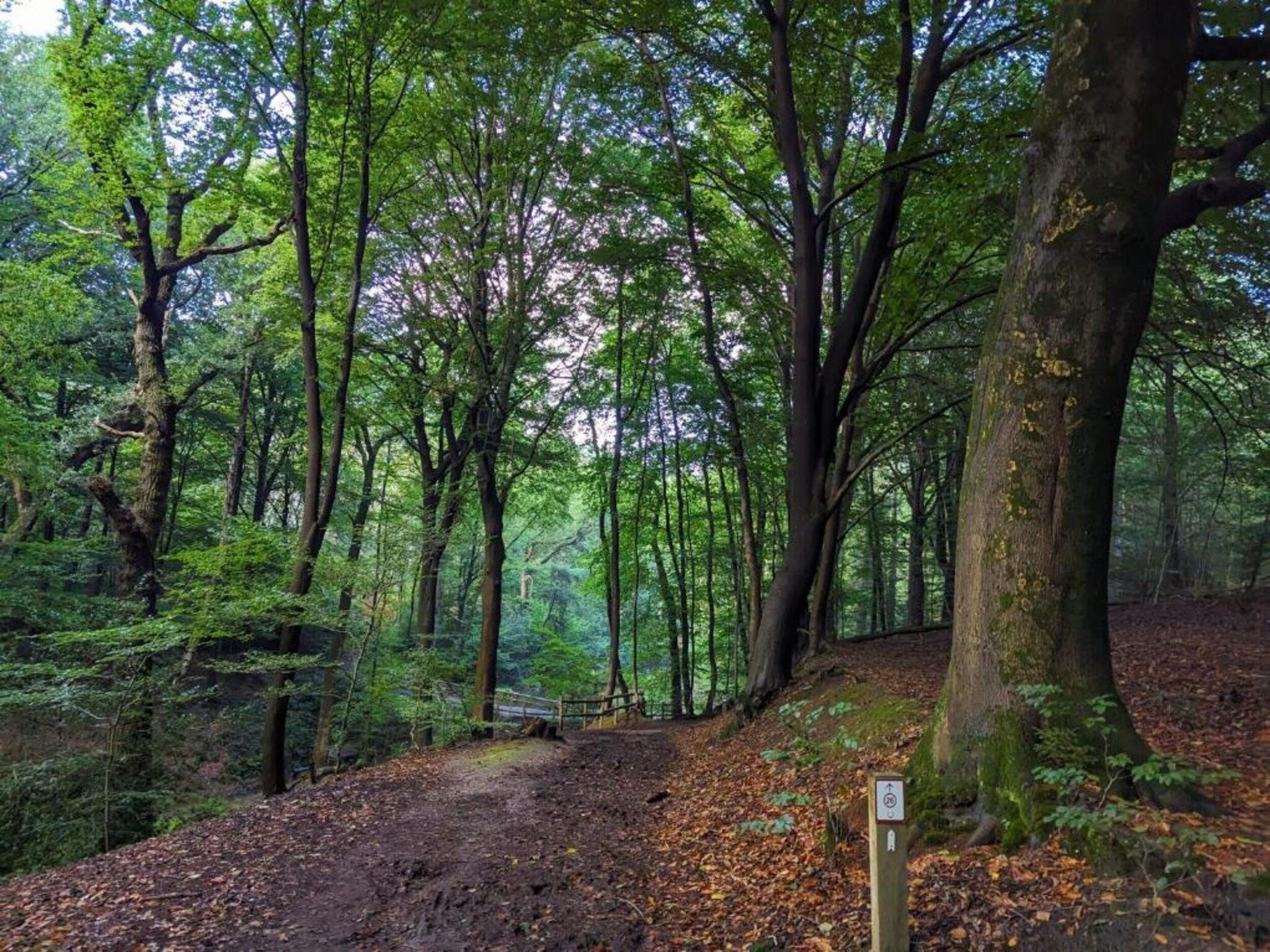 Vakantie bij Meeussen - Molendal 1 in Plasmolen - Foto 38 van 40