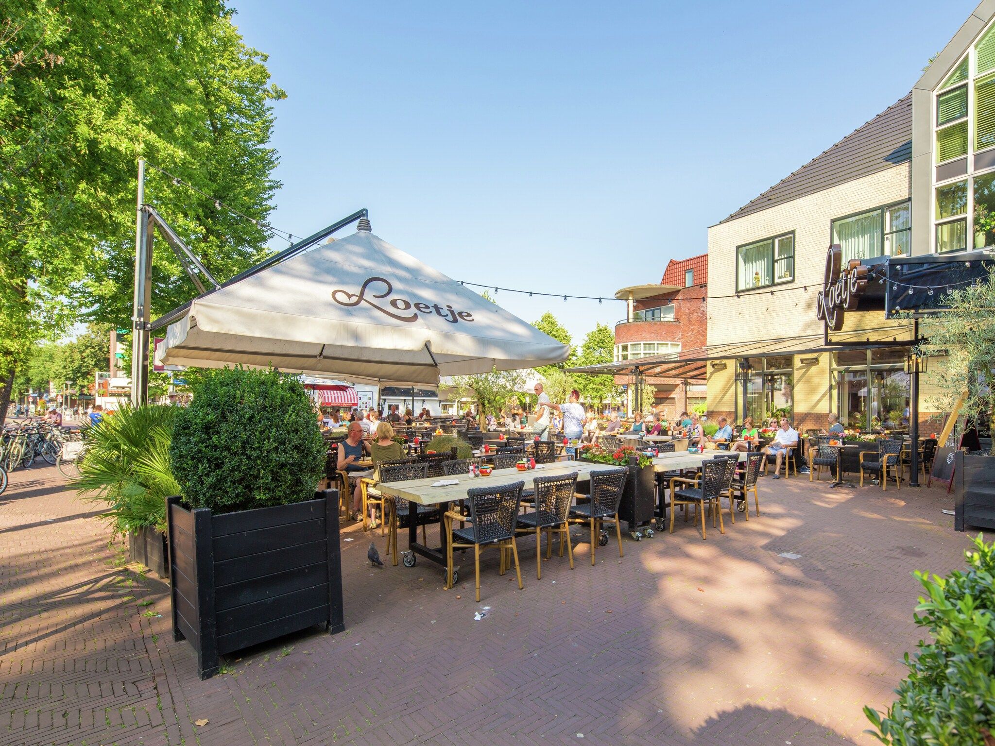 De omgeving van Kustpark Egmond aan Zee 4 in Egmond aan zee