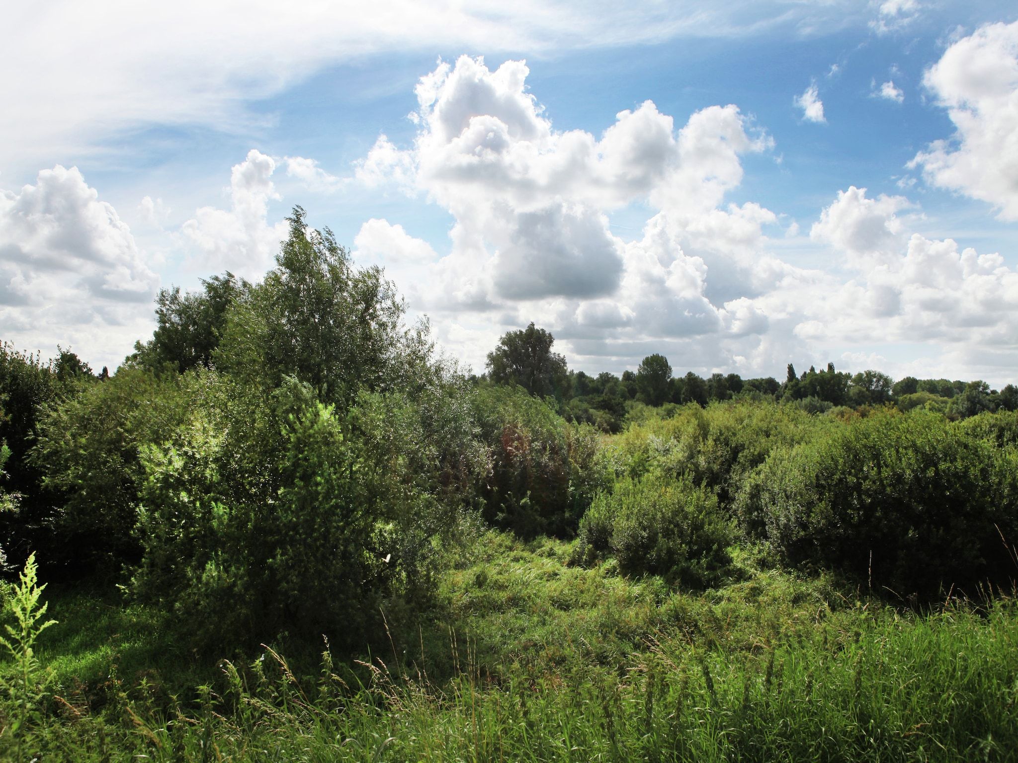Het uitzicht vanaf Hoeve Hoogst Tevreden in Leerdam