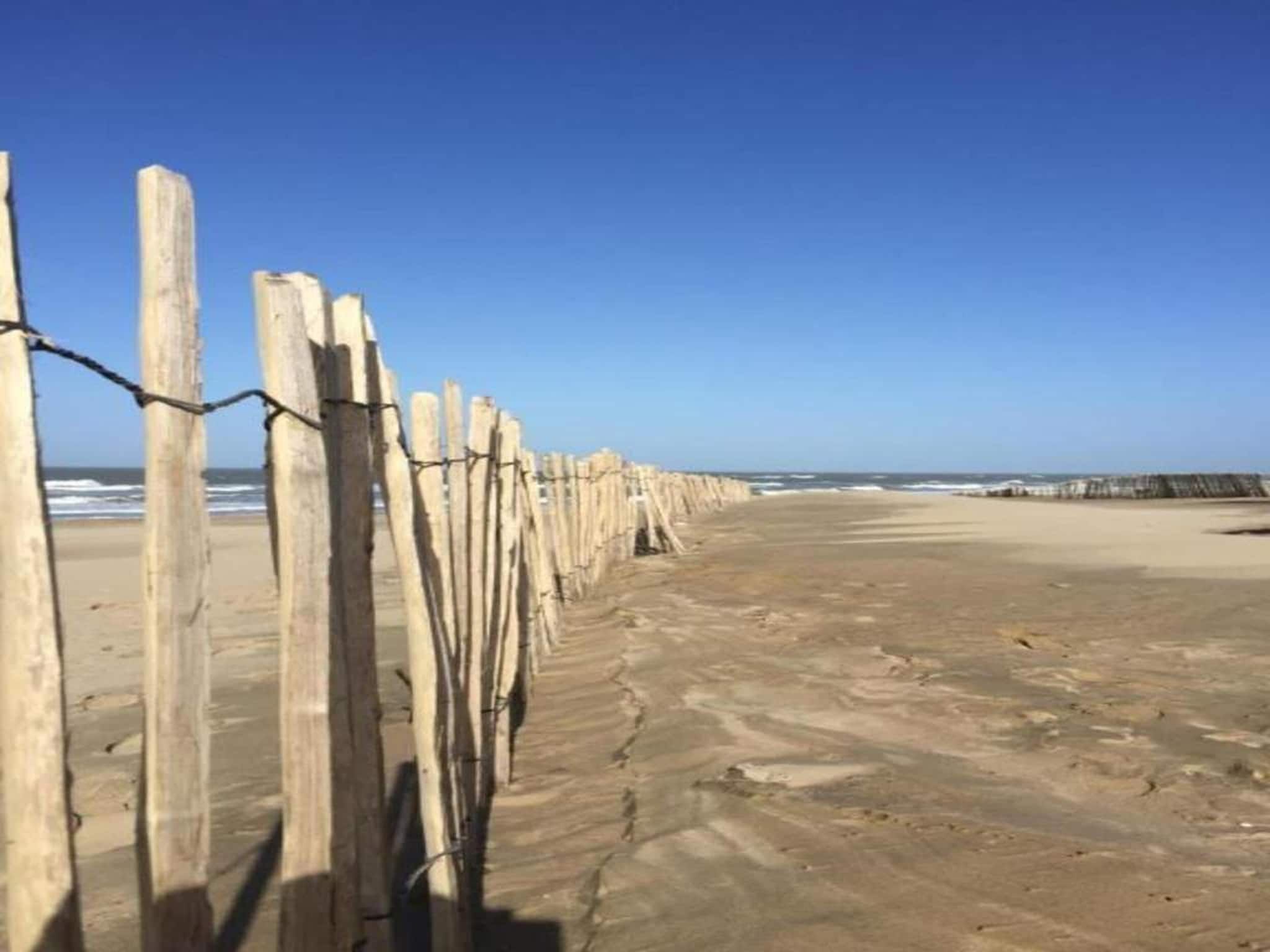 Vakantiepark Duinrust 1 in Noordwijk aan zee - Foto 36 van 42