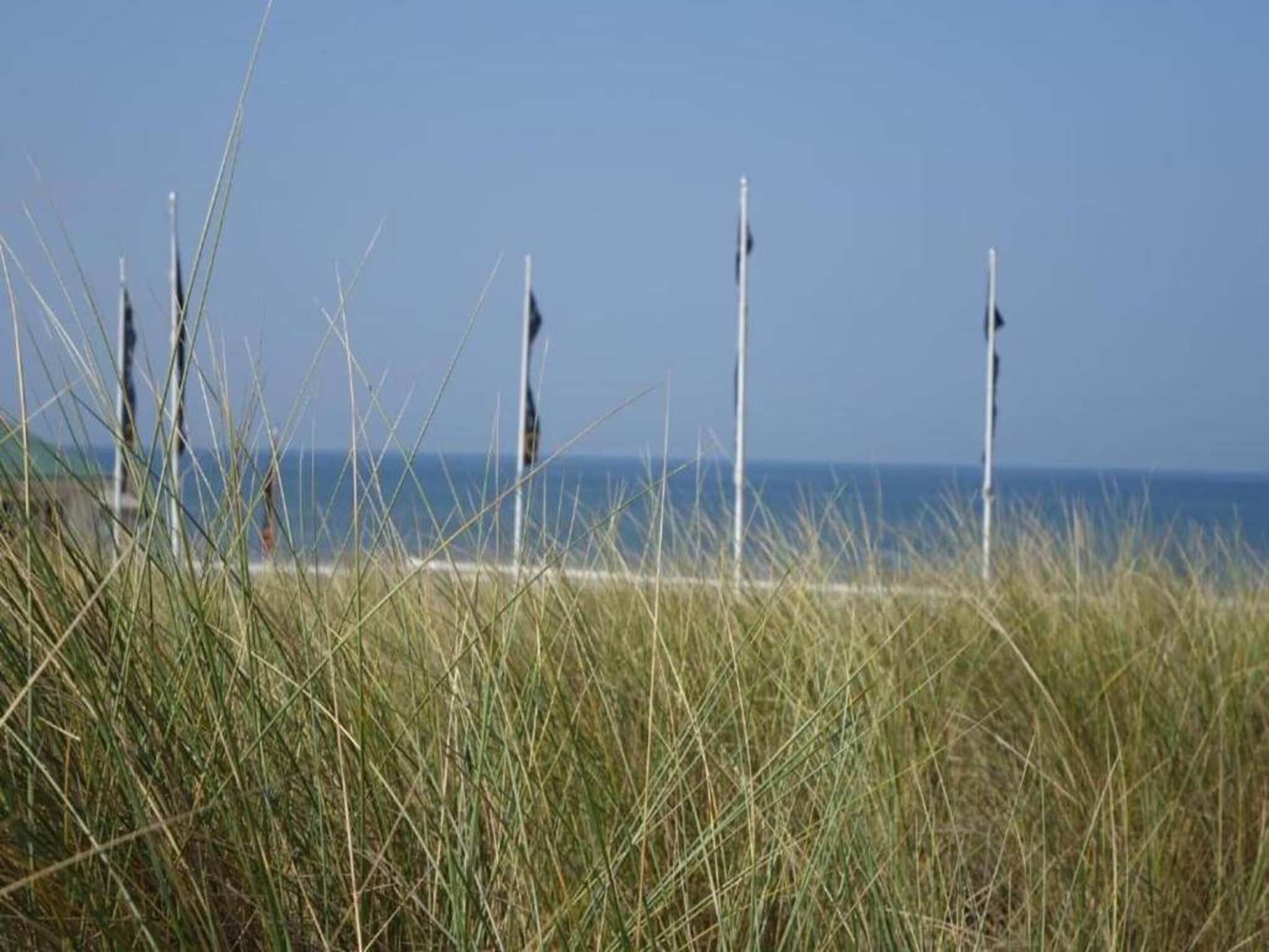 Vakantiepark Duinrust 1 in Noordwijk aan zee - Foto 41 van 42