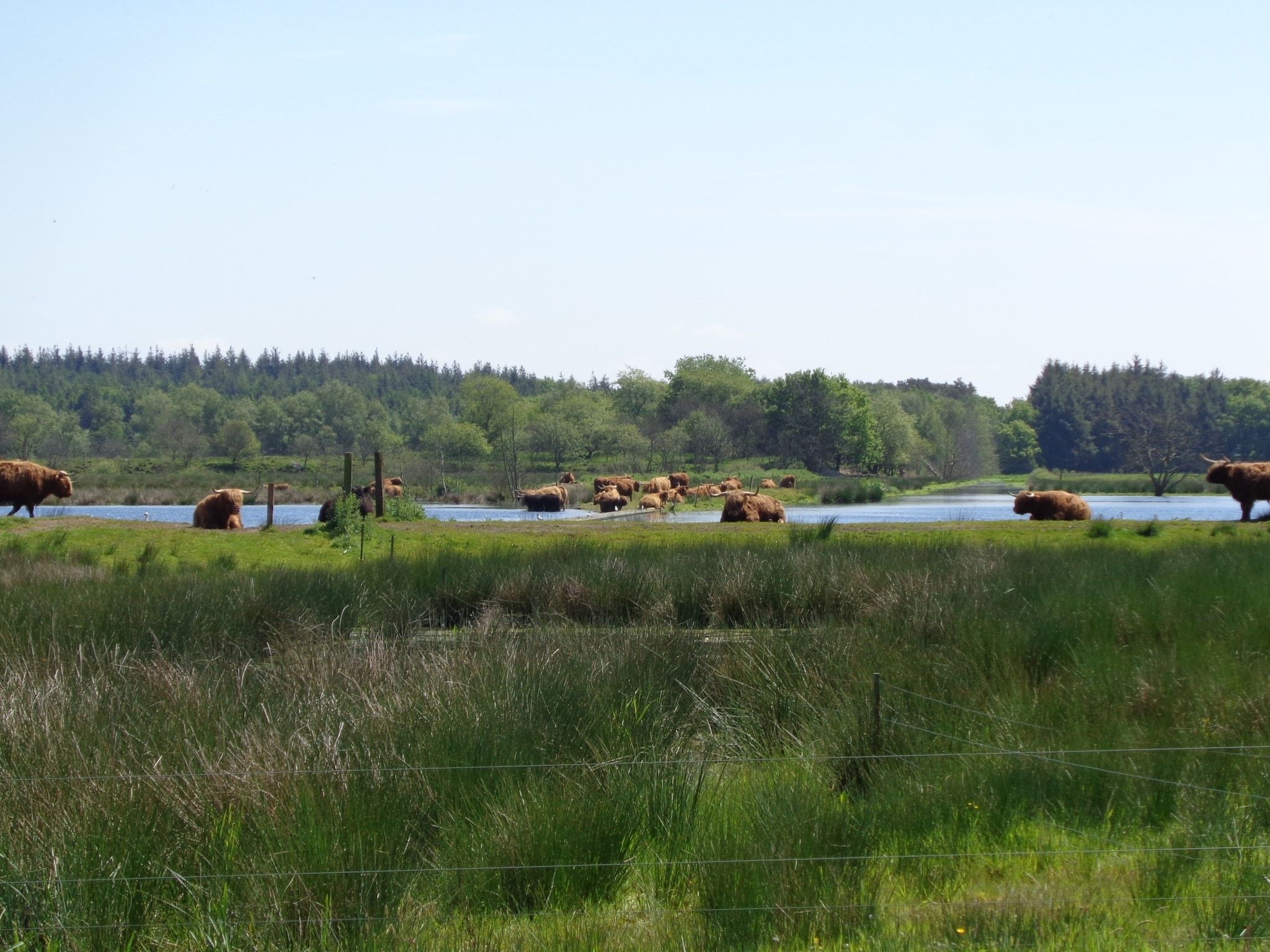 Singelhoeve in Fochteloo - Foto 19 van 40