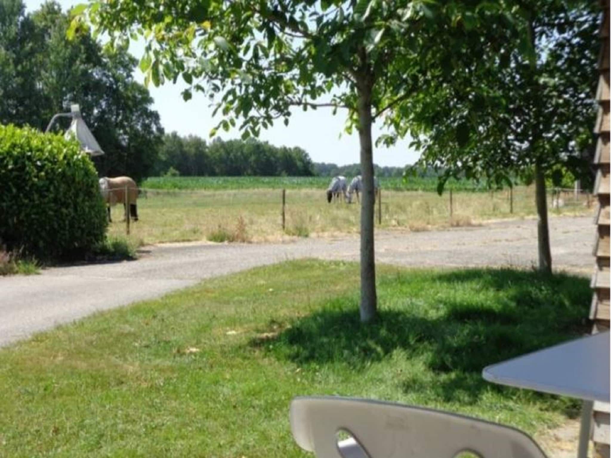 Het uitzicht vanaf Singelhoeve in Fochteloo