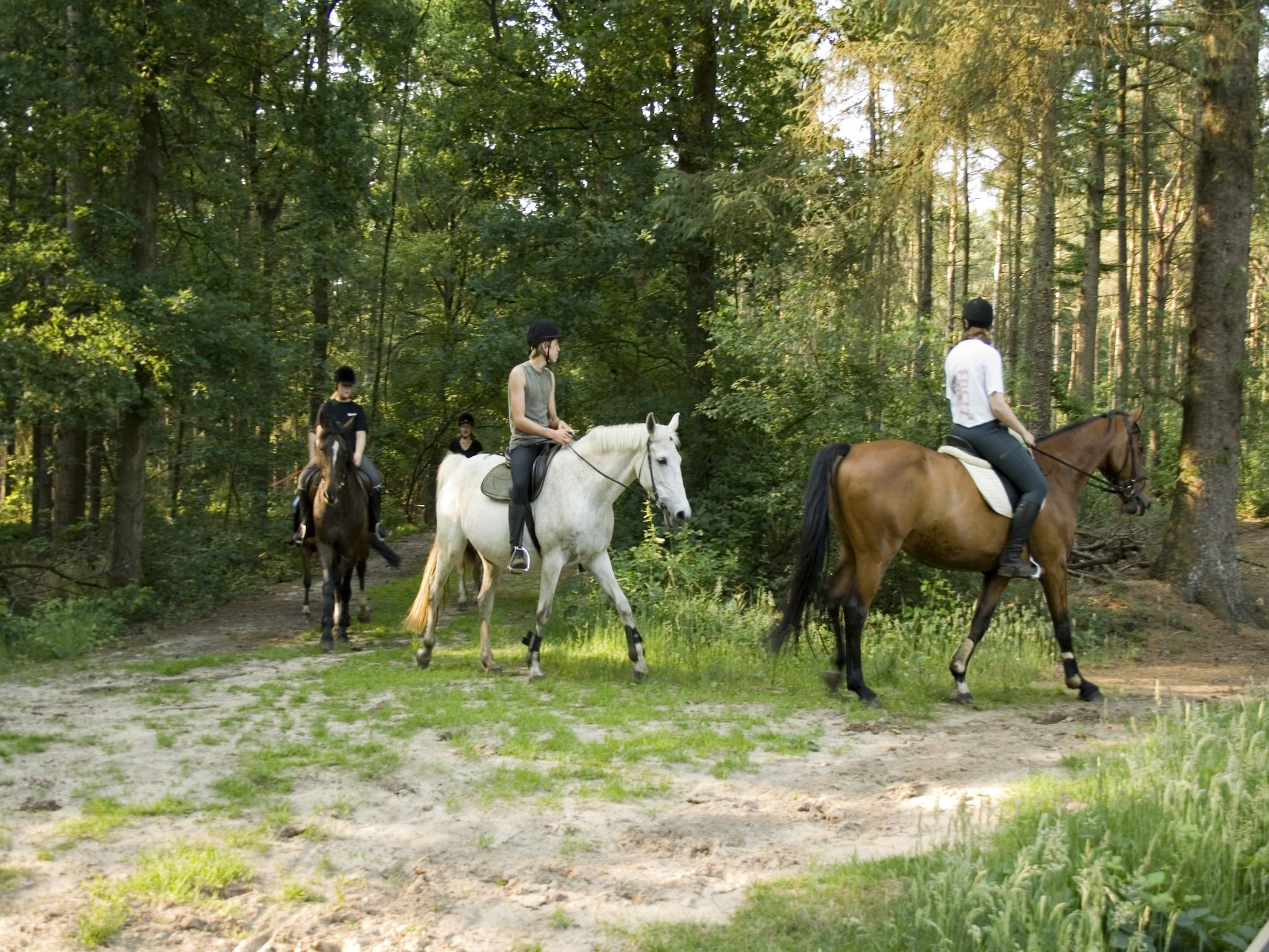 De omgeving van Buitenplaats Gerner 4 in Dalfsen