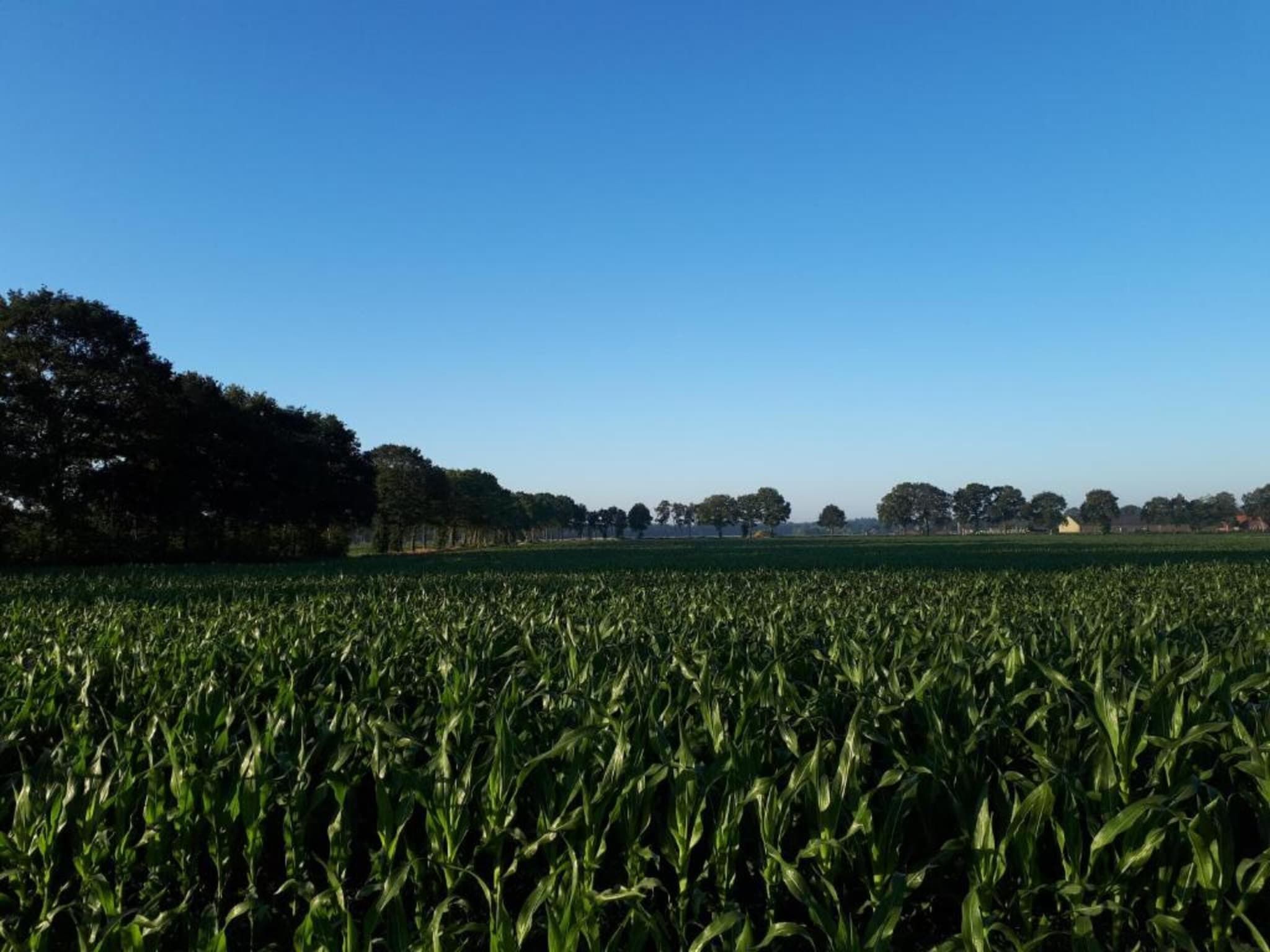 Buitenplaats Gerner 4 in Dalfsen - Foto 20 van 40