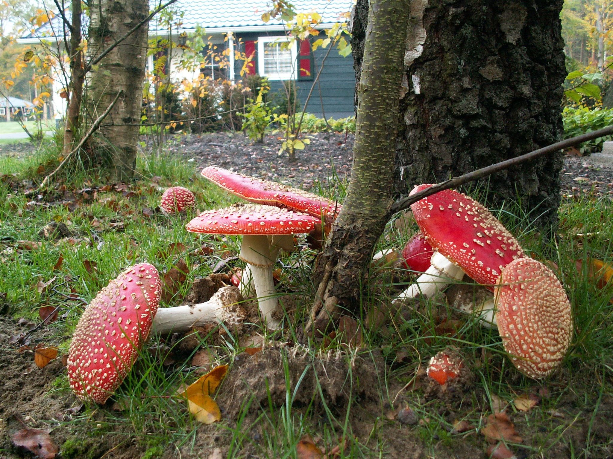 Buitenplaats Gerner 5 in Dalfsen - Foto 22 van 37