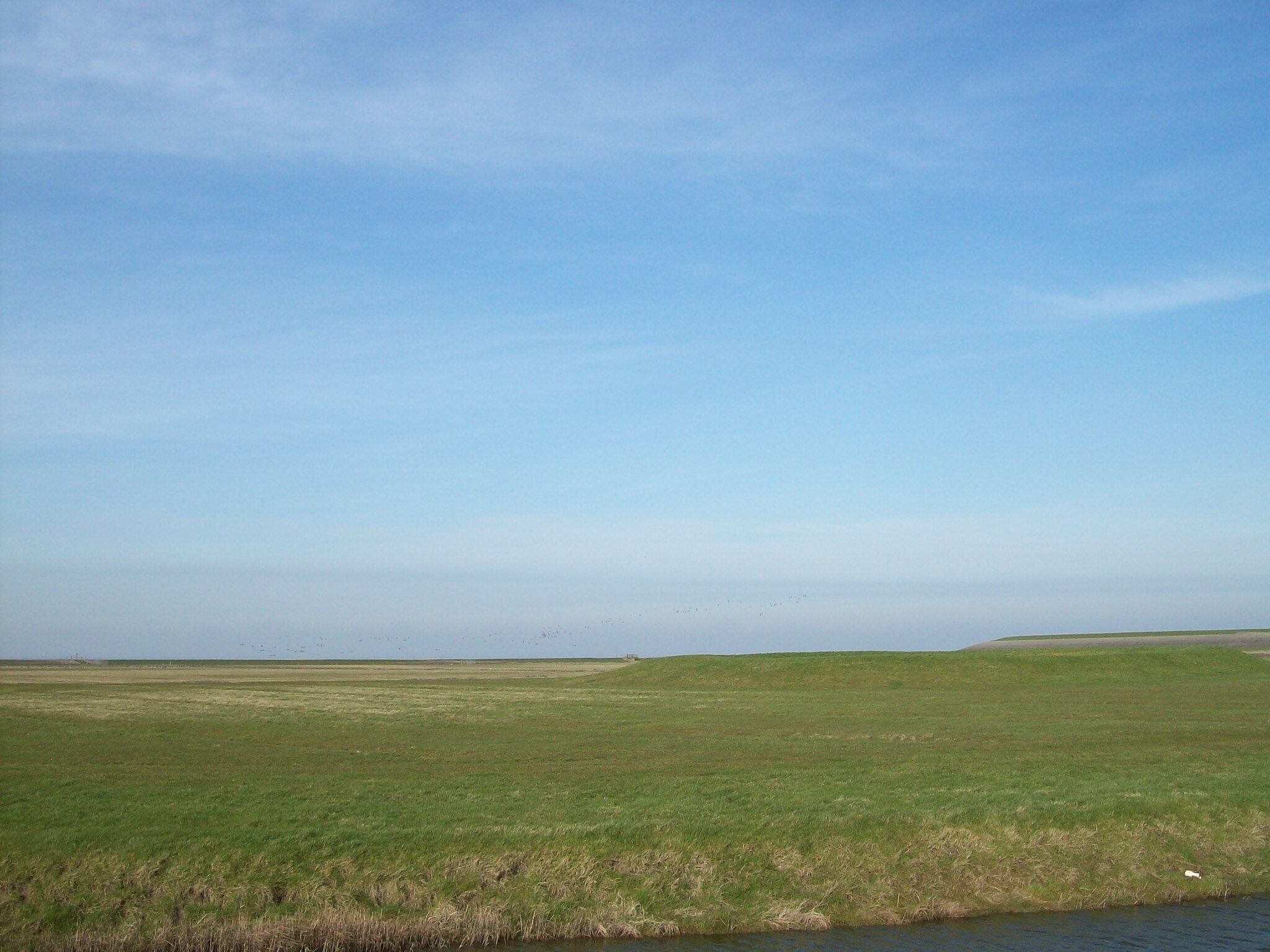 De Vakantie boerderij in Holwerd - Foto 37 van 40