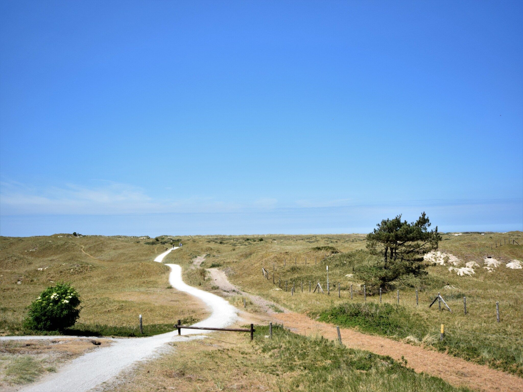 De omgeving van Zandlust in Ameland