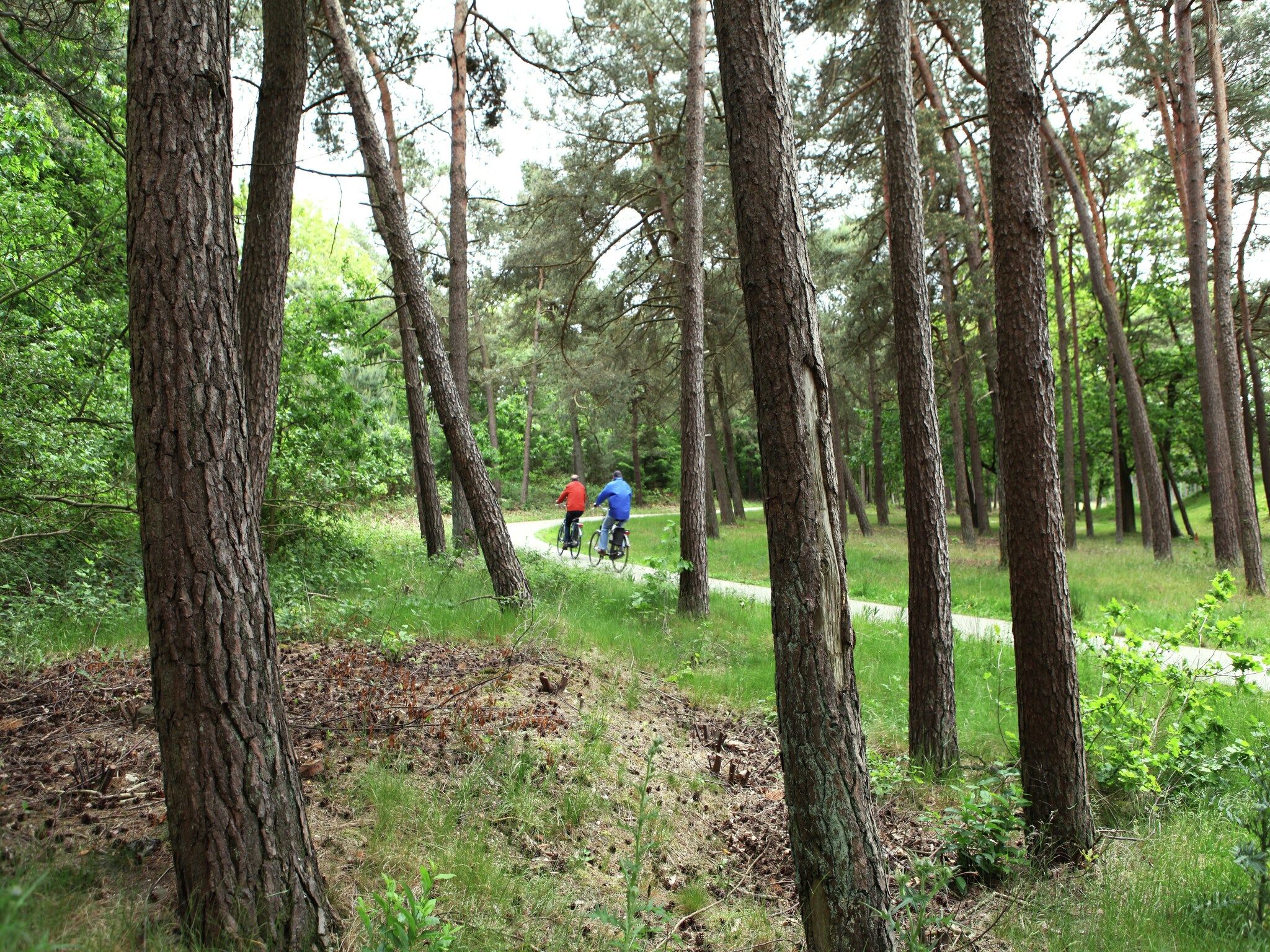 De grove den in Doornspijk - Foto 26 van 34