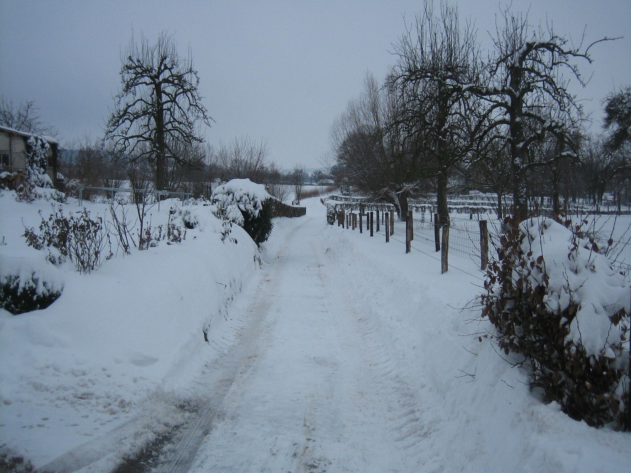 i gen Roemel in Epen - Foto 37 van 38