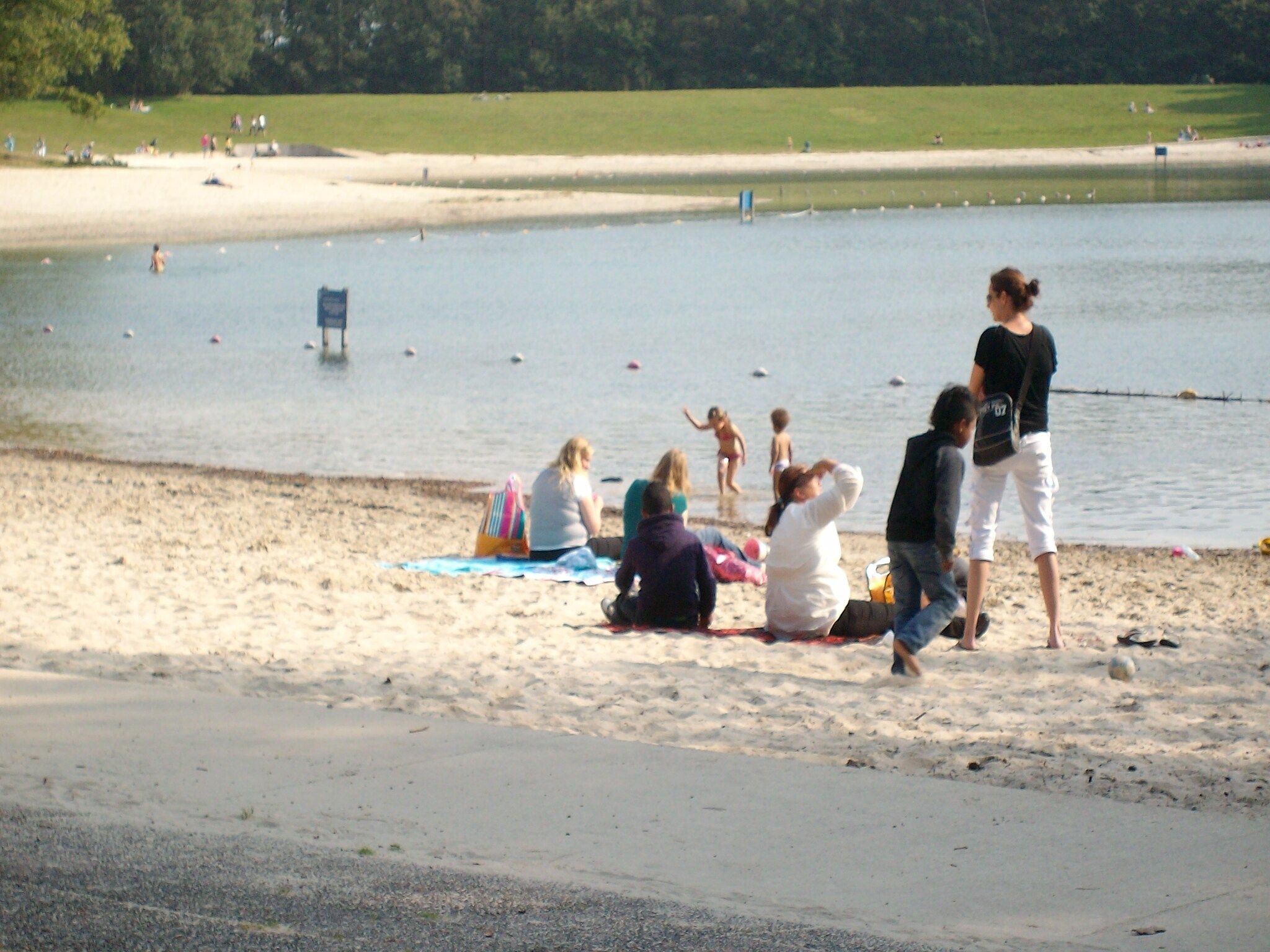 De omgeving van Vakantiepark Horsetellerie 1 in Hardenberg (rheezerveen)