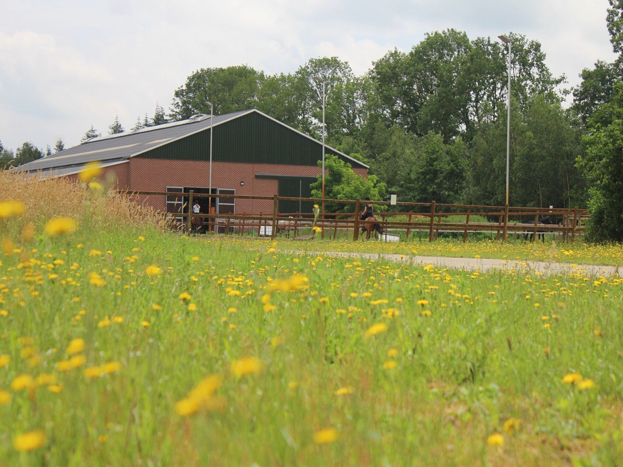 Vakantiepark Horsetellerie 7 in Hardenberg (rheezerveen) - Foto 22 van 41