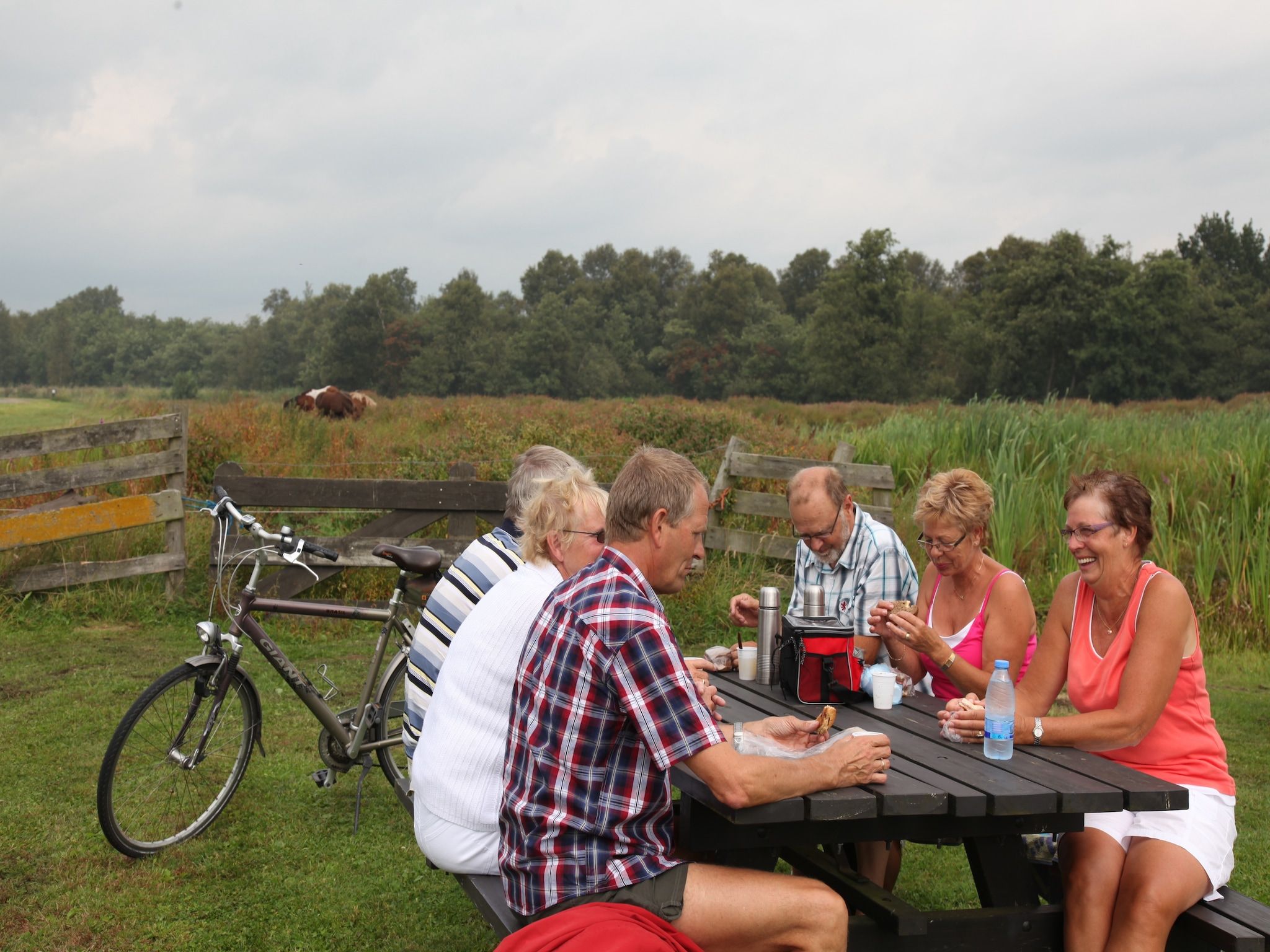 De omgeving van Waterpark Belterwiede 3 in Wanneperveen