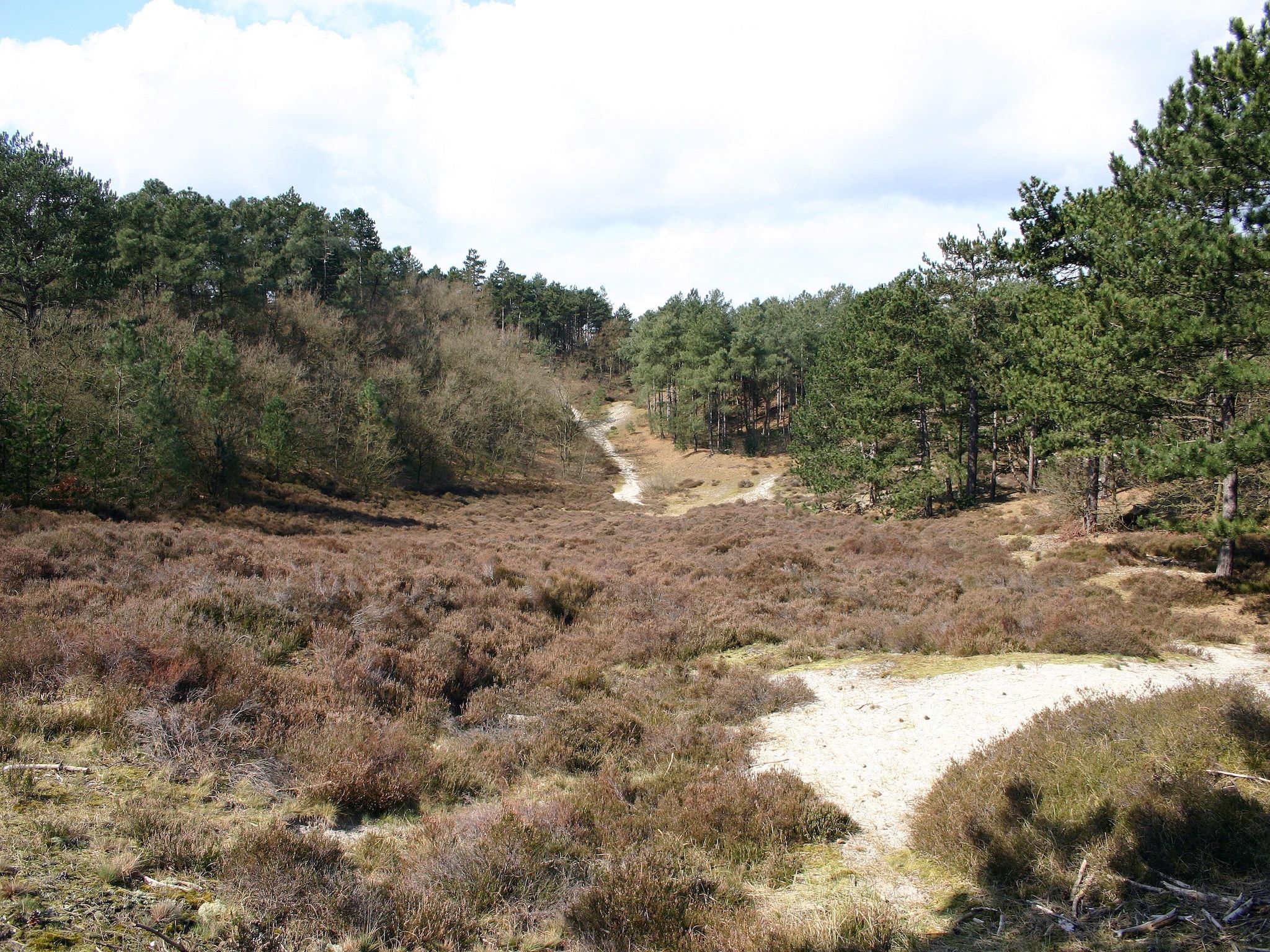 De omgeving van Park Scorleduyn 3 in Schoorl