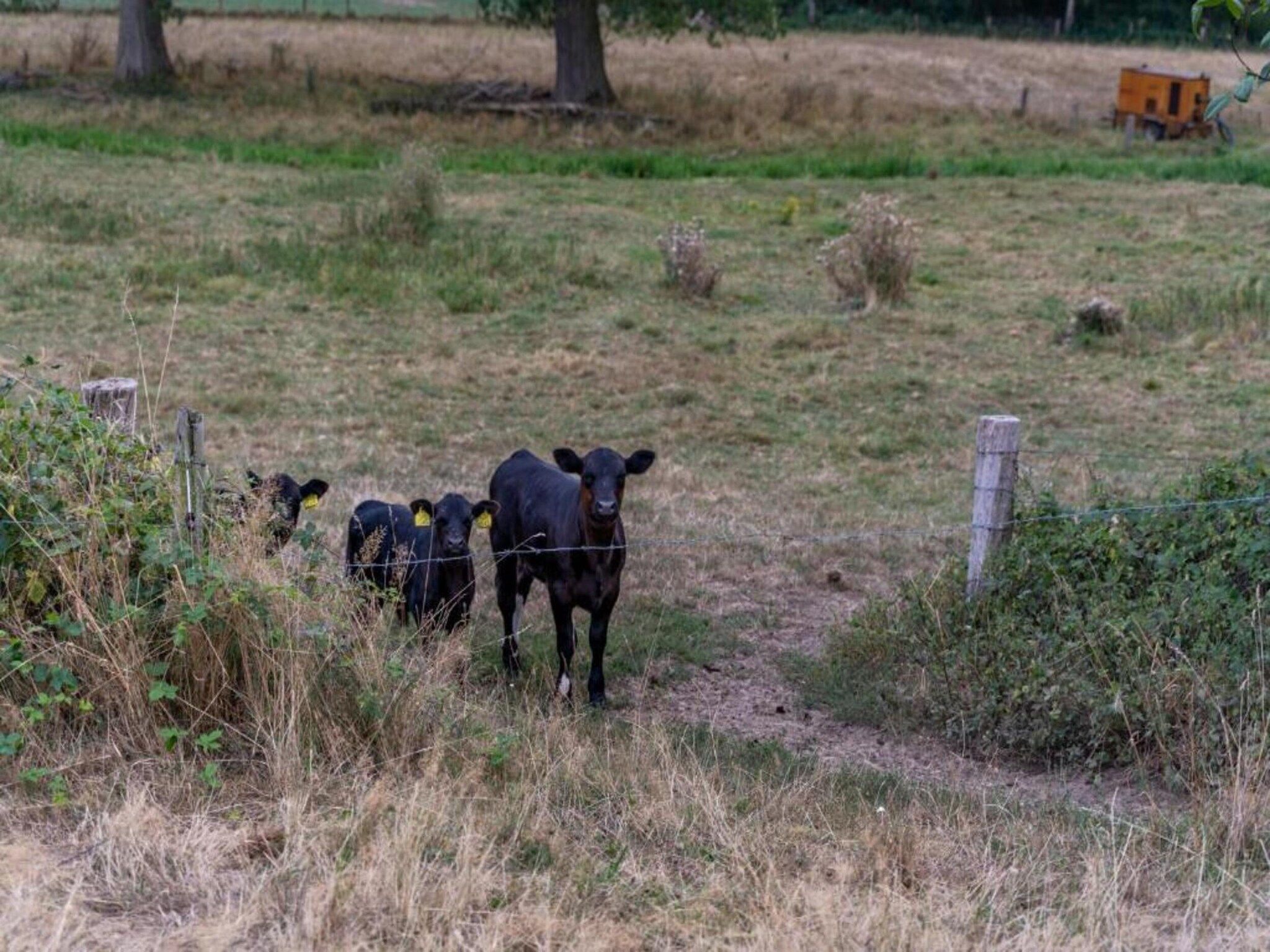 Buitenhof De Leistert 18 in Roggel - Foto 39 van 40