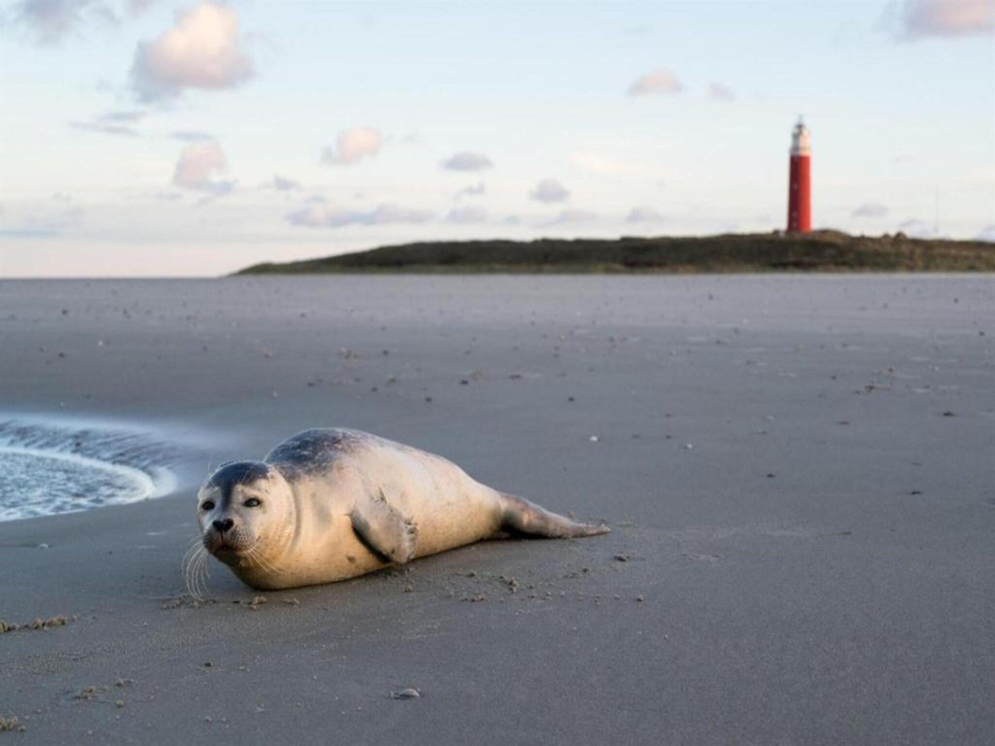 Bosch en Zee 4 in De Koog Texel - Foto 29 van 38