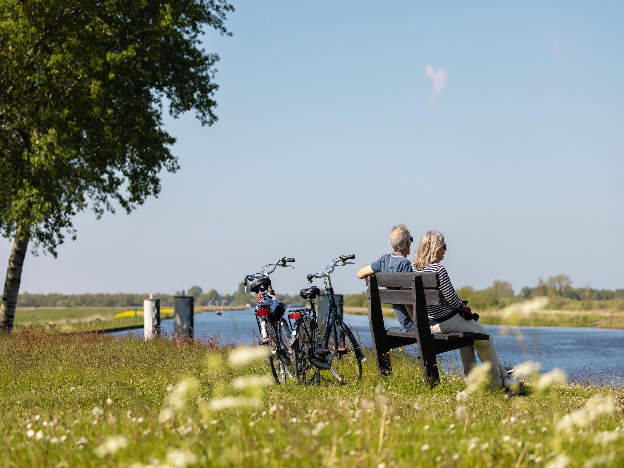 De omgeving van Buitenplaats It Wiid 1 in Eernewoud