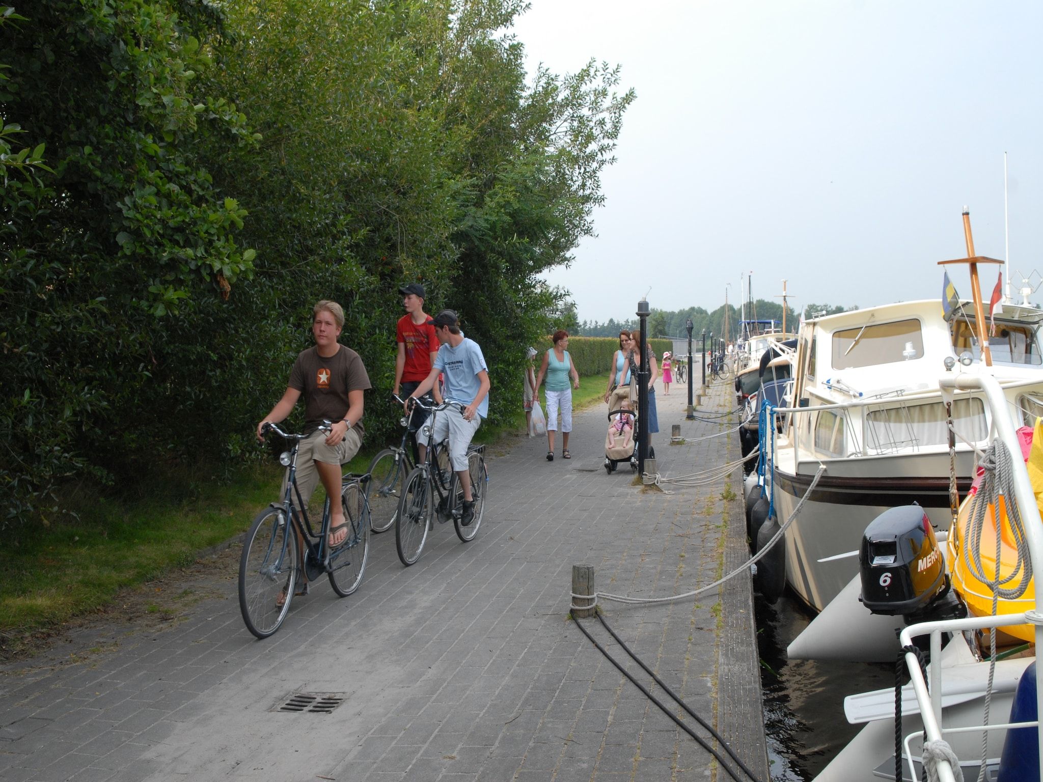De omgeving van Buitenplaats It Wiid 5 in Eernewoud