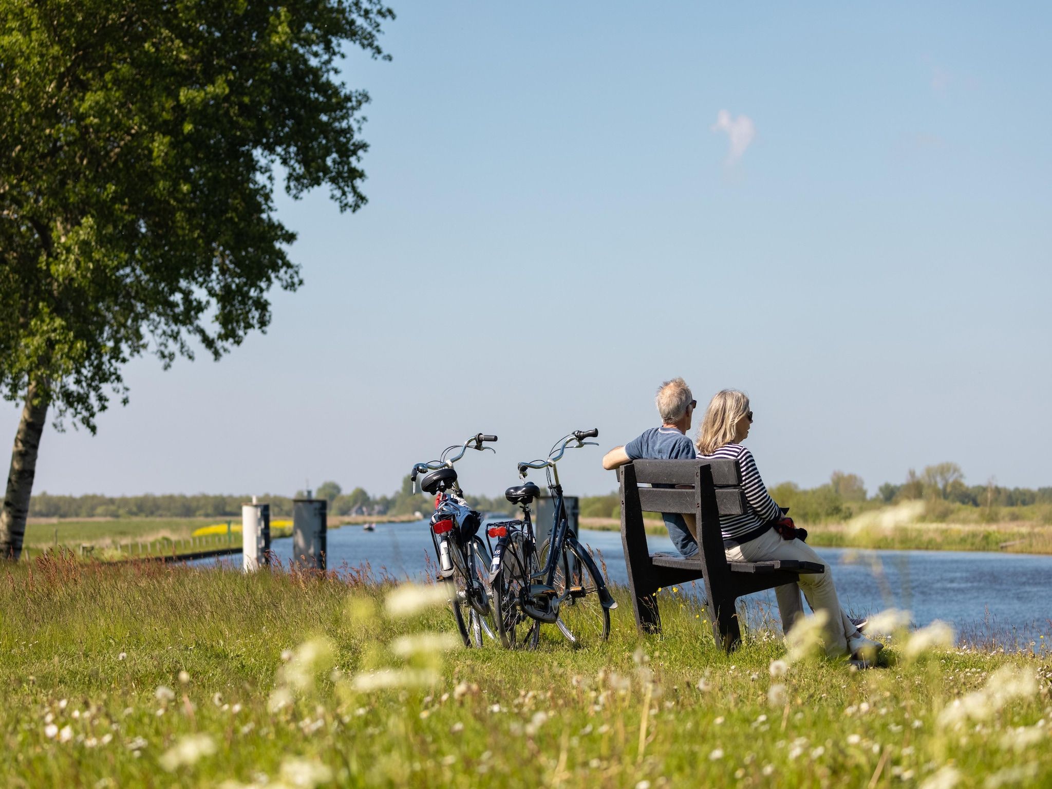 De omgeving van Buitenplaats It Wiid 2 in Eernewoud