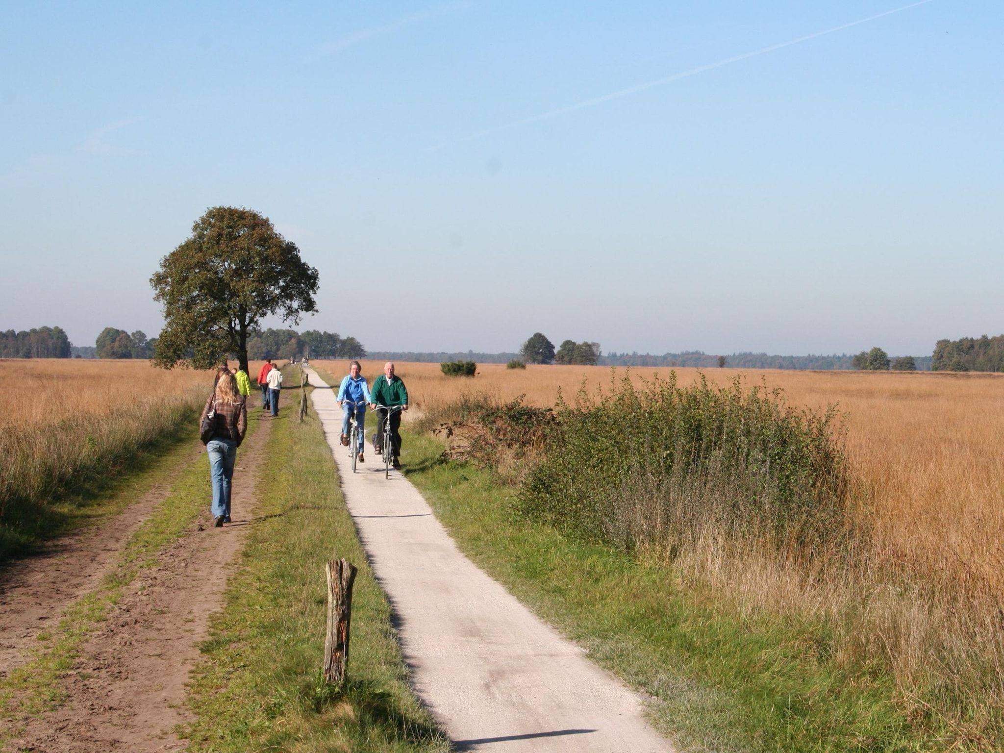 De omgeving van Marke van Ruinen 2 in Ruinen