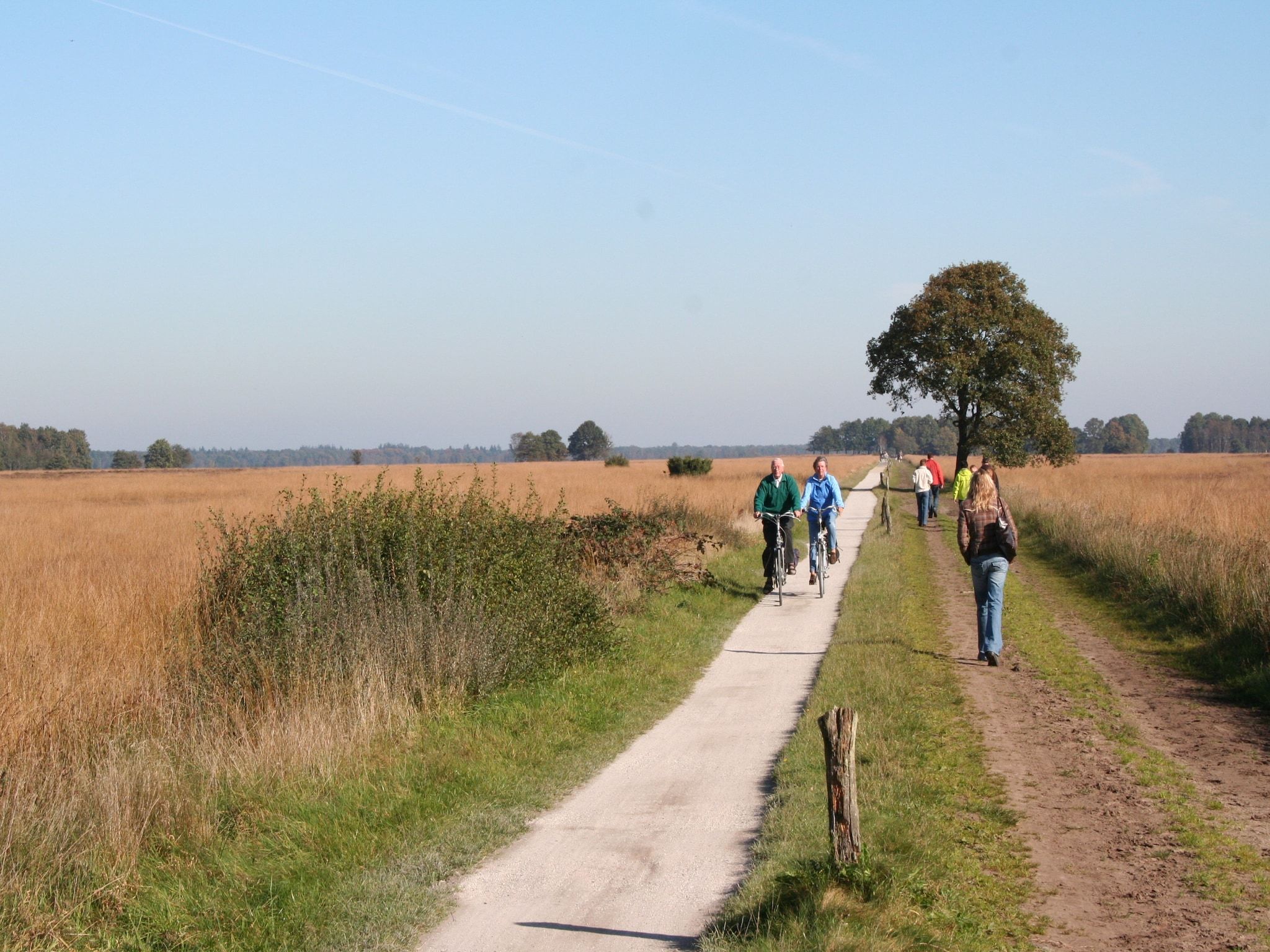 De omgeving van Marke van Ruinen 3 in Ruinen