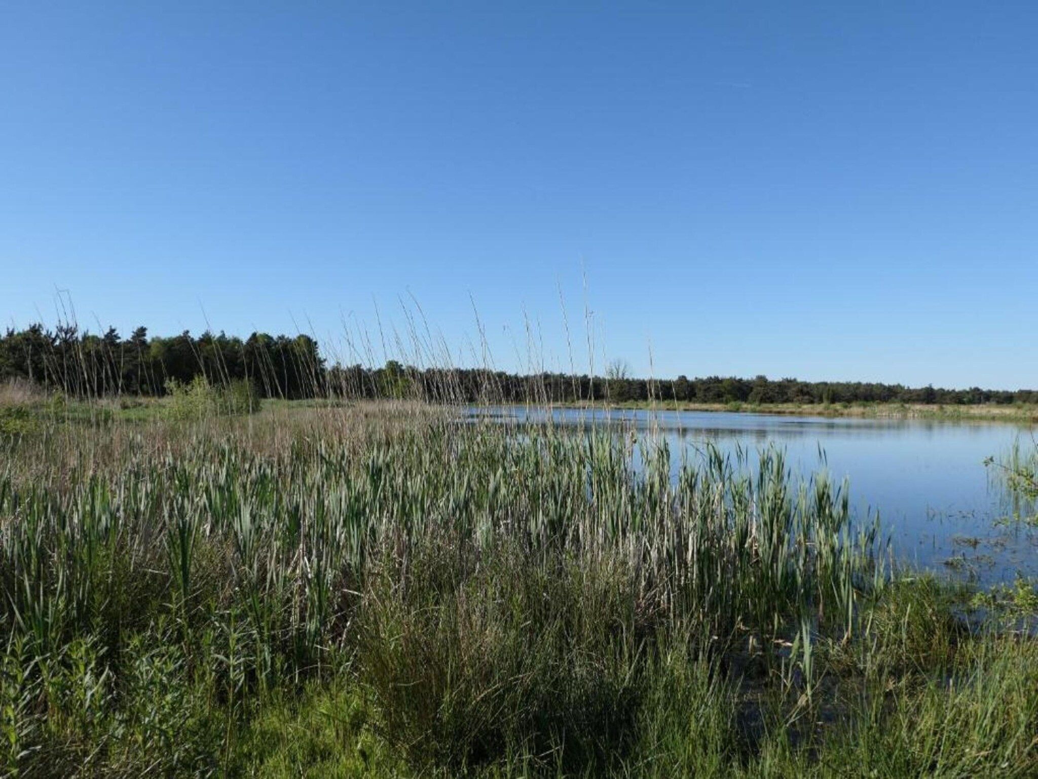 De omgeving van Recreatiepark Tolplas 11 in Hoge Hexel