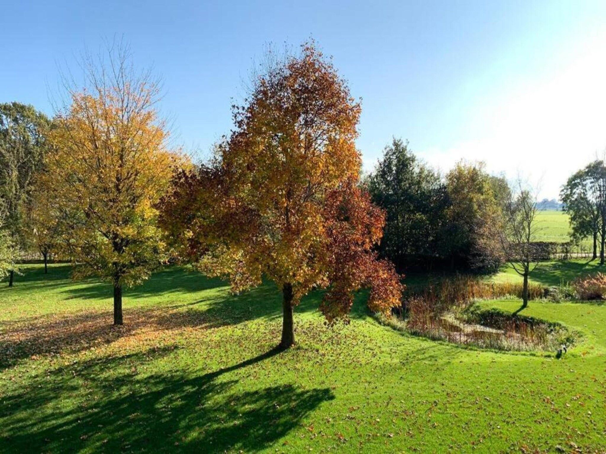 De omgeving van Recreatiepark Tolplas 11 in Hoge Hexel