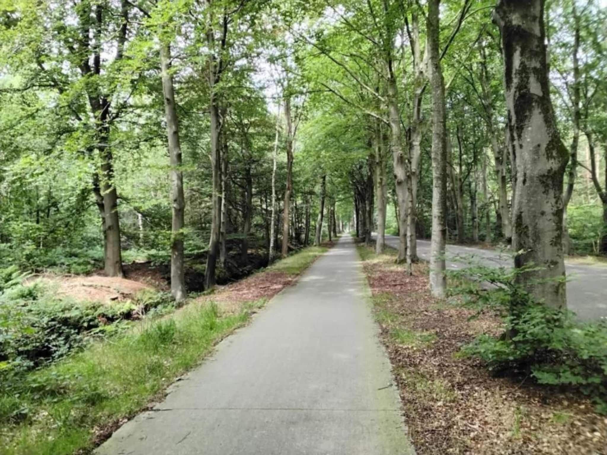 De omgeving van Lyts Sypenstien in Langweer
