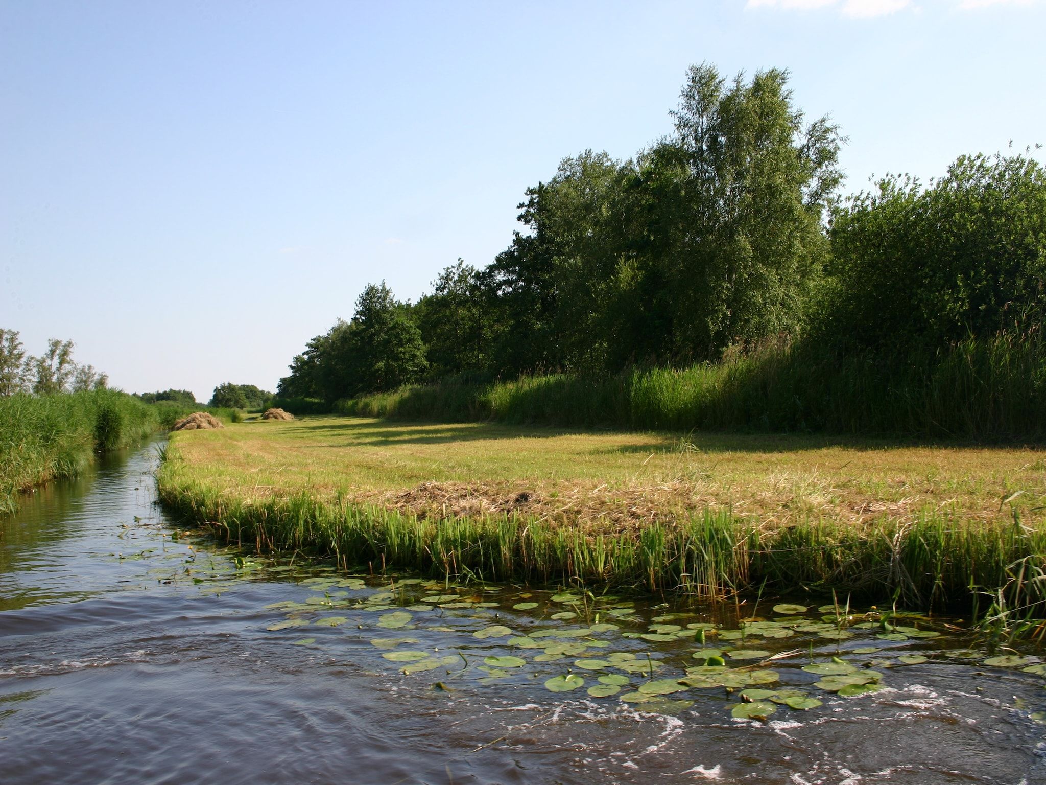 Villapark De Weerribben 4 in Paasloo - Foto 34 van 48
