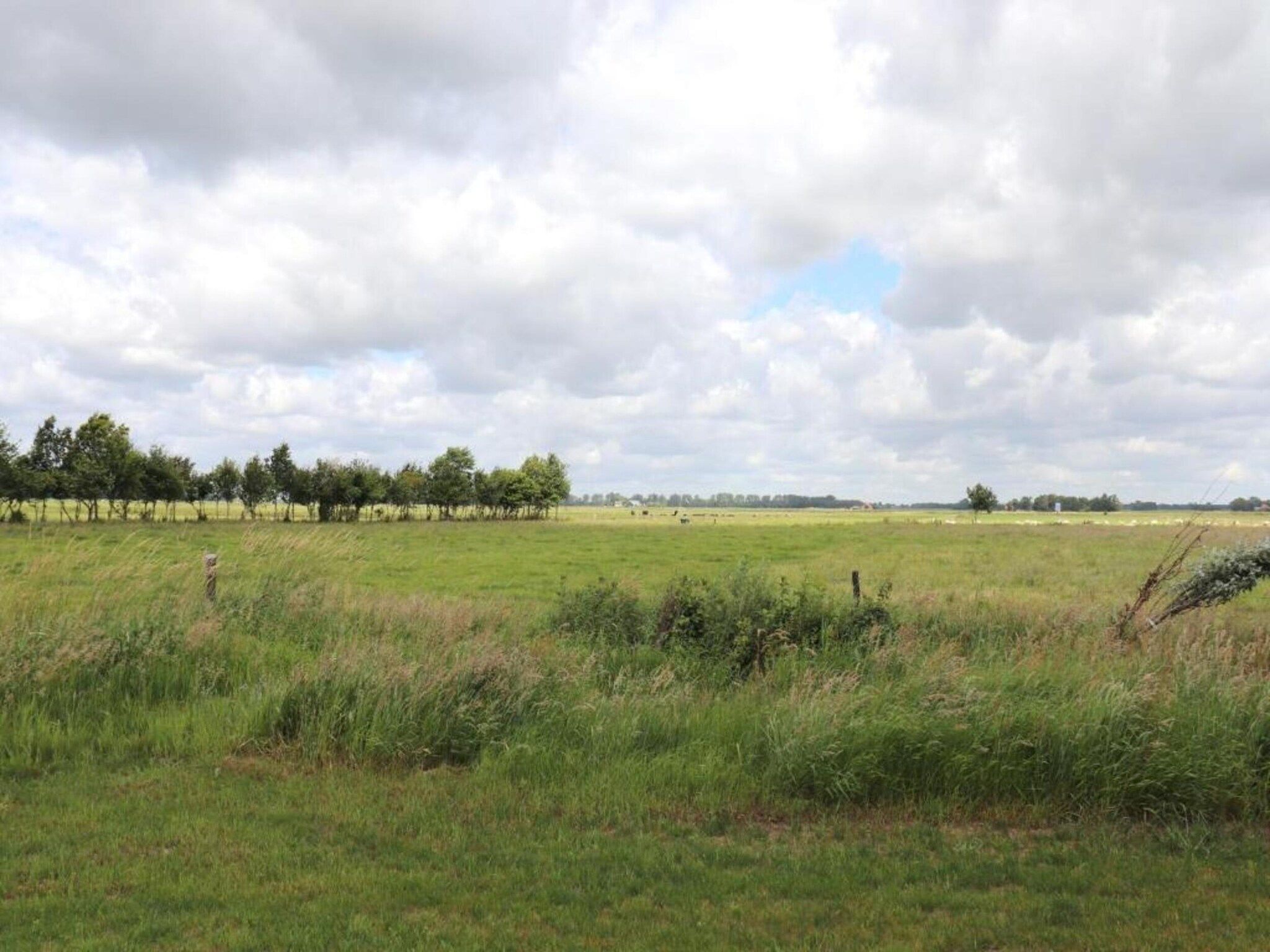 De omgeving van Villapark De Weerribben 1 in Paasloo