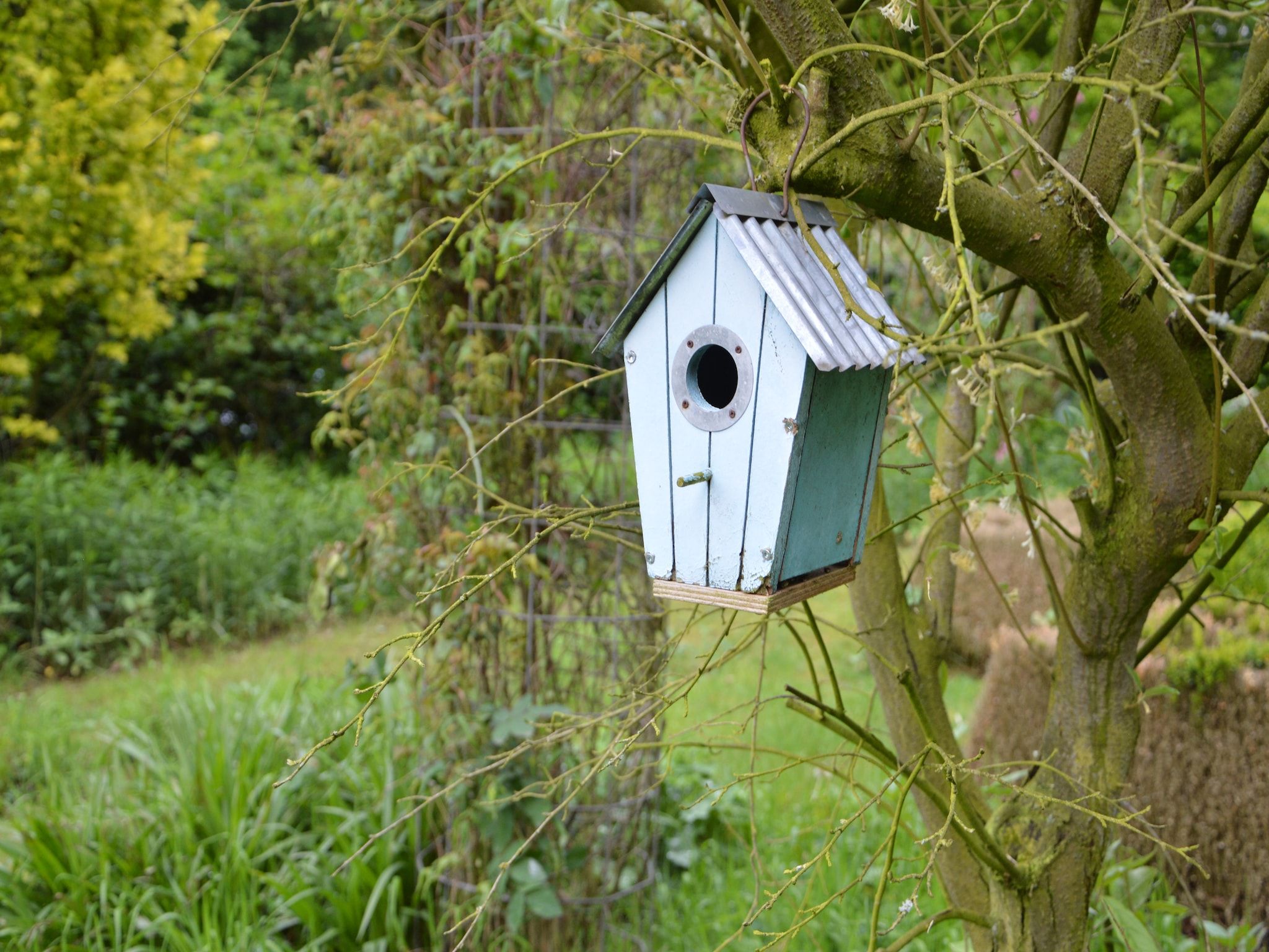 De tuin van Vier Vogelenzang in Vessem