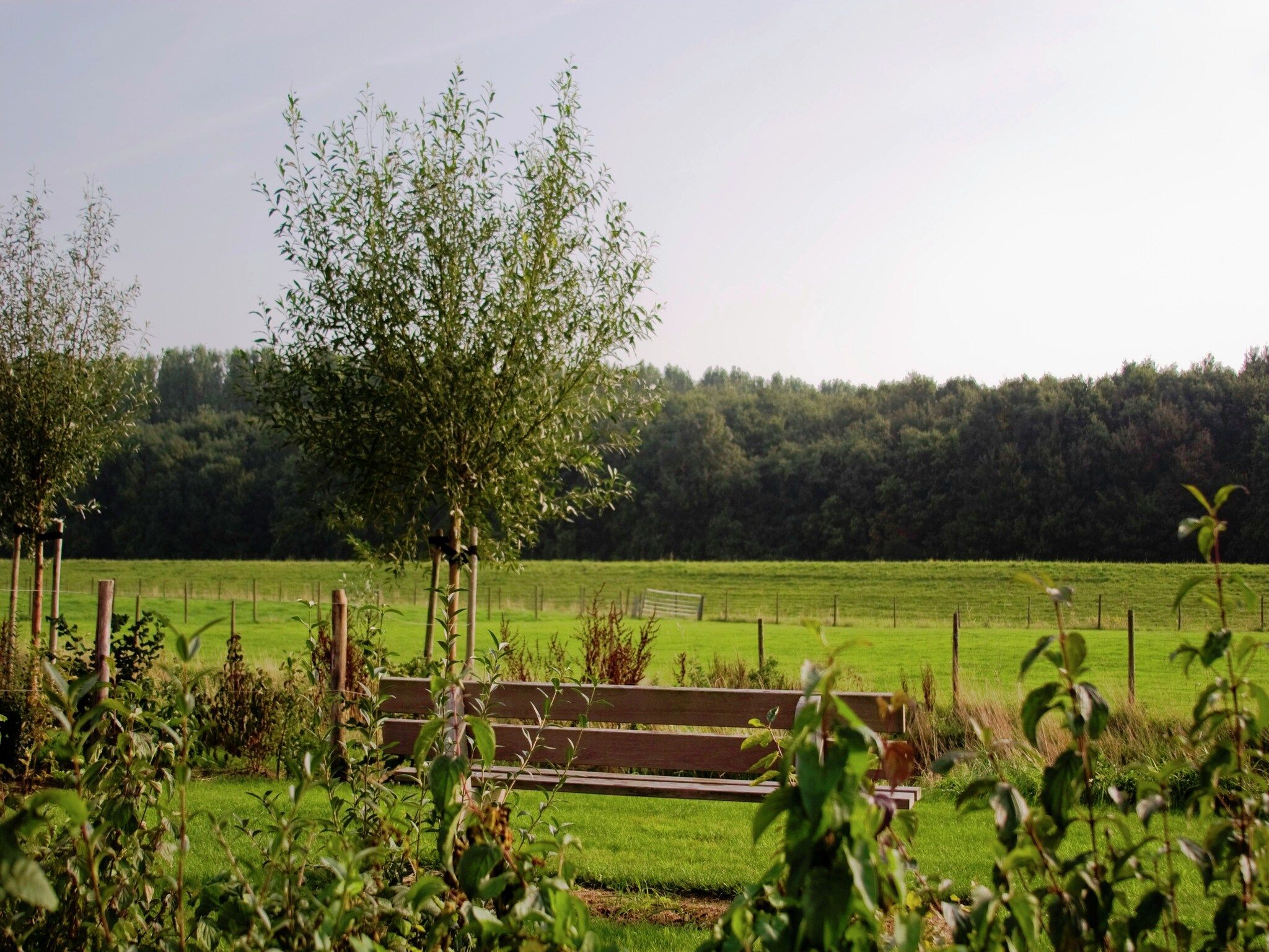 Recreatiepark de Stelhoeve 2 in Wemeldinge - Foto 26 van 40