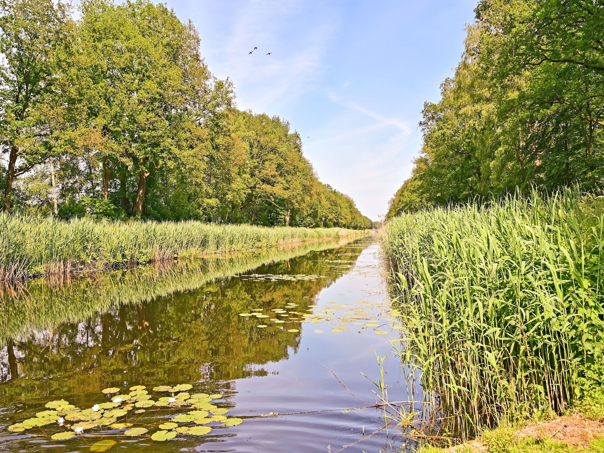 De omgeving van Veldzicht in Reutum-Weerselo
