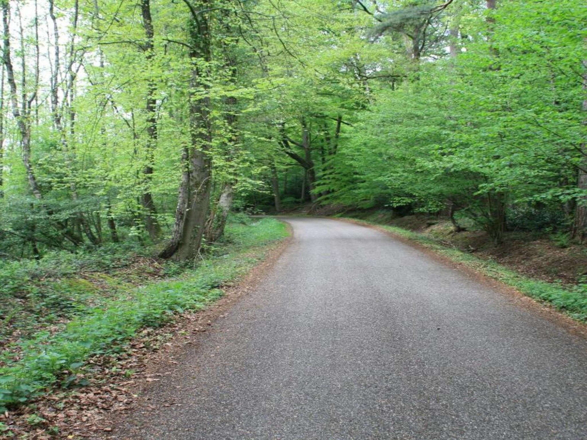 De omgeving van Chaletpark Kuiperberg 7 in Ootmarsum