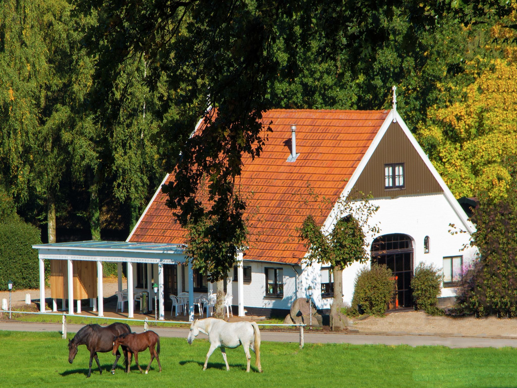 Chaletpark Kuiperberg 1 in Ootmarsum - Foto 8 van 37