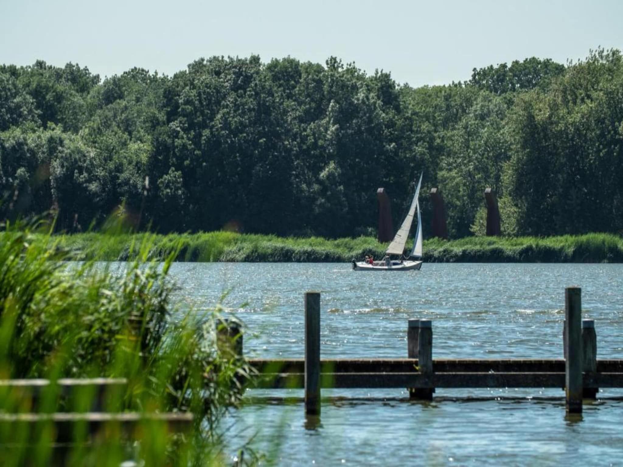 Harrekidee in Sint Maartensbrug - Foto 28 van 29